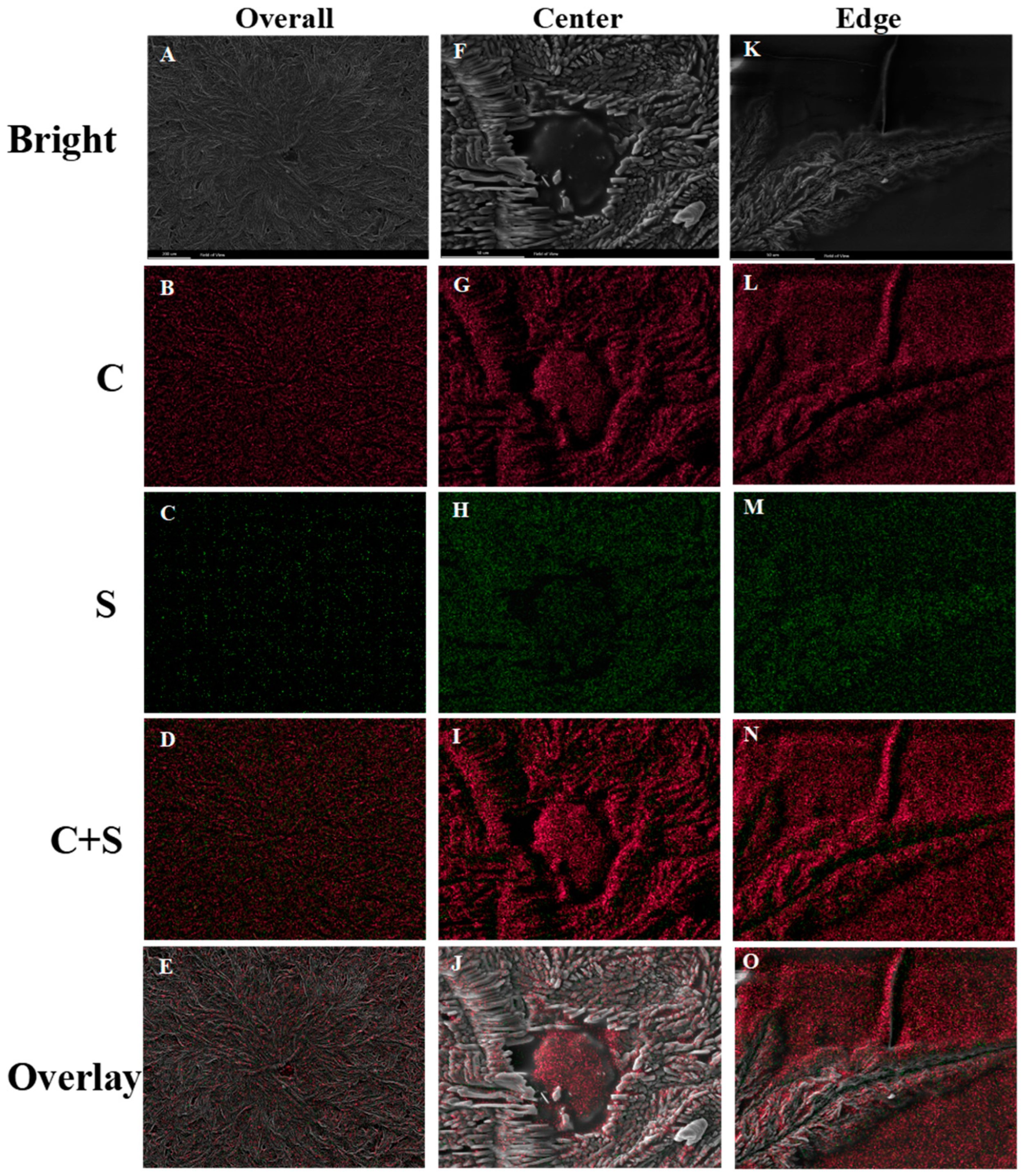 Pharmaceutics 16 00630 g005