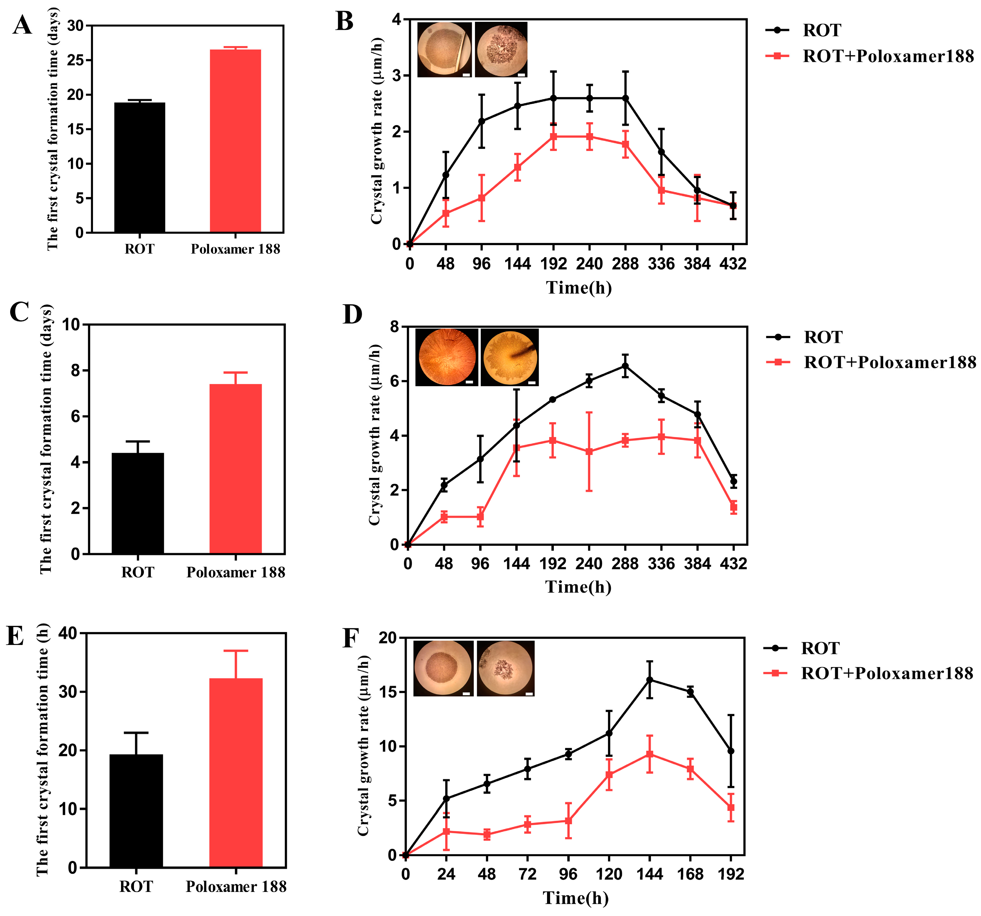 Pharmaceutics 16 00630 g009