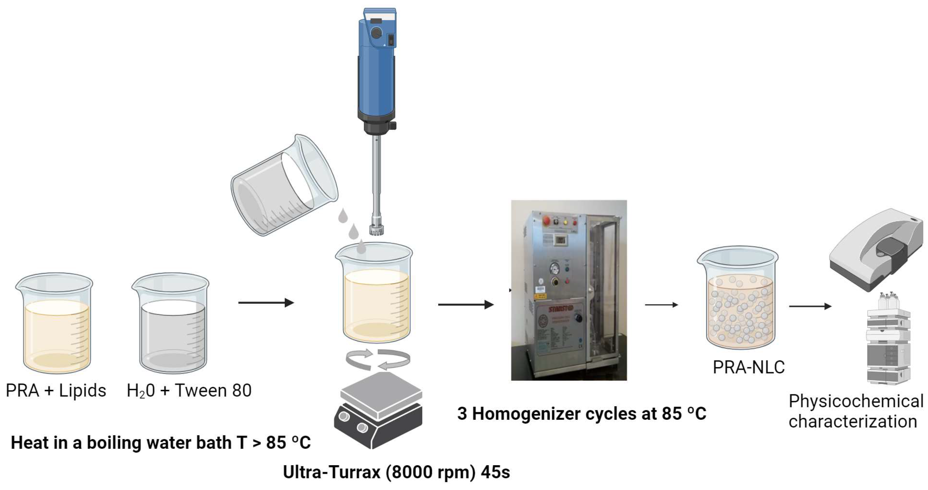 Pharmaceutics 16 00643 g001