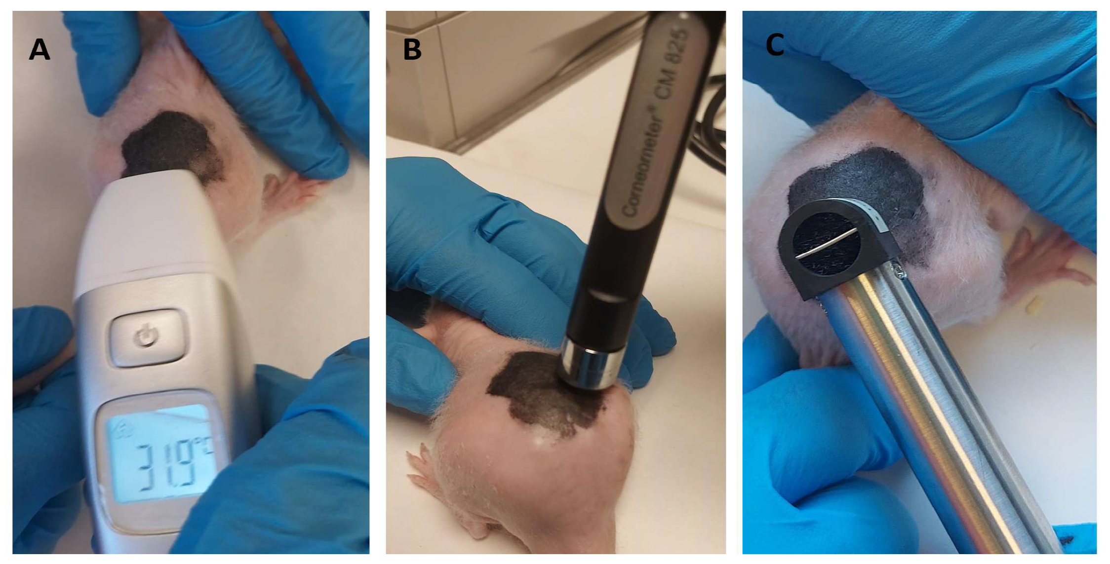 Pharmaceutics 16 00643 g004