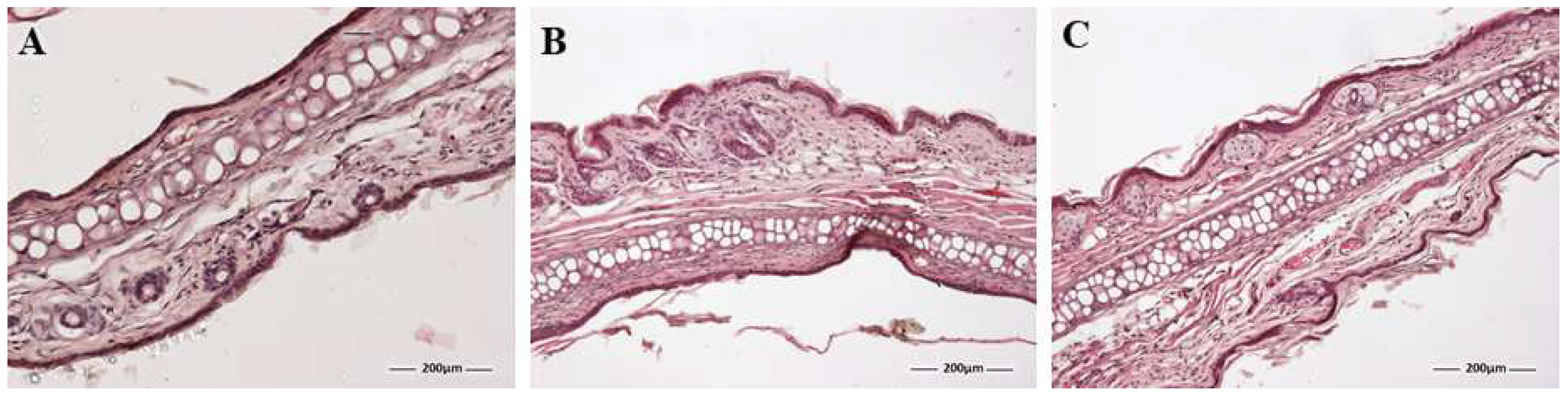Pharmaceutics 16 00643 g010
