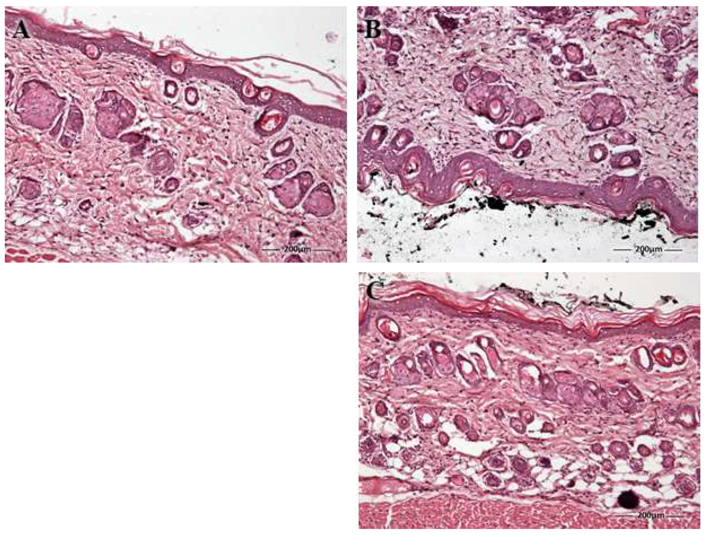 Pharmaceutics 16 00643 g012