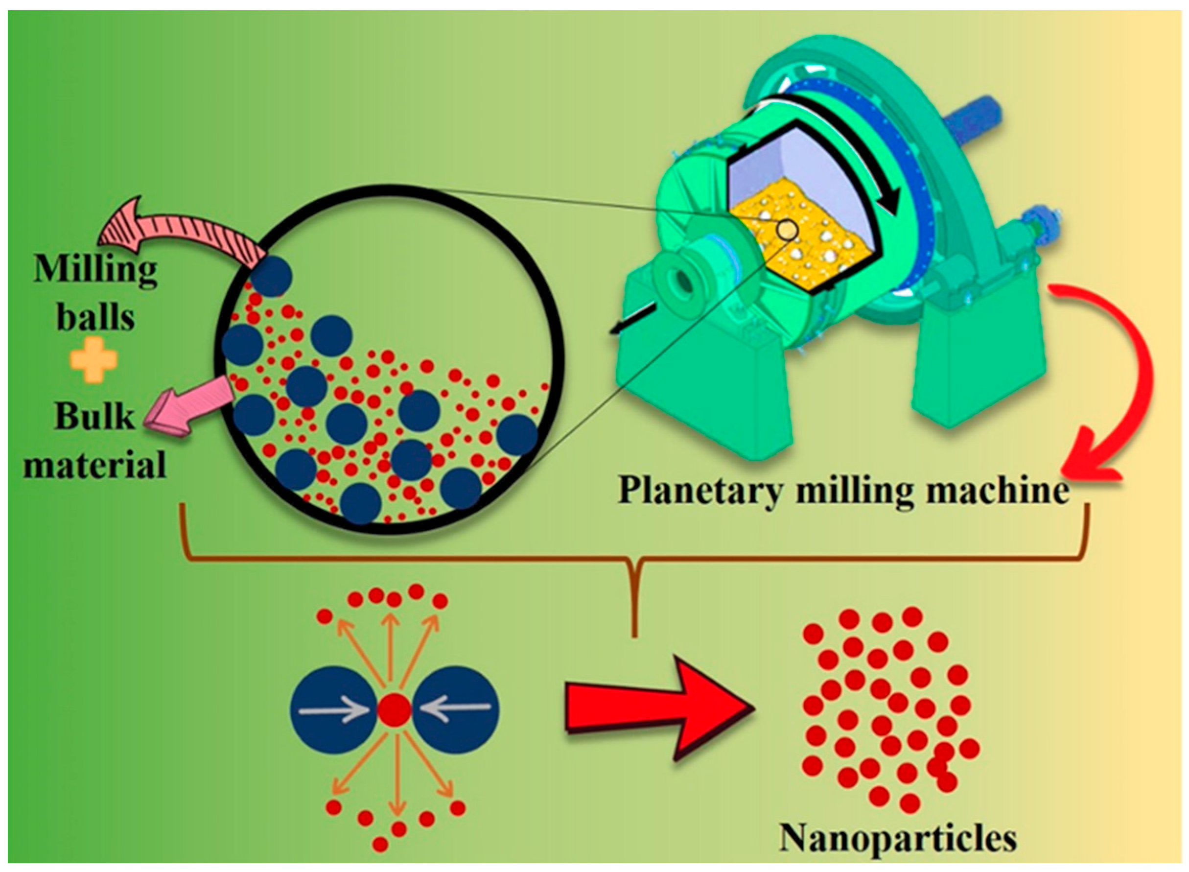 Pharmaceutics 16 00645 g008