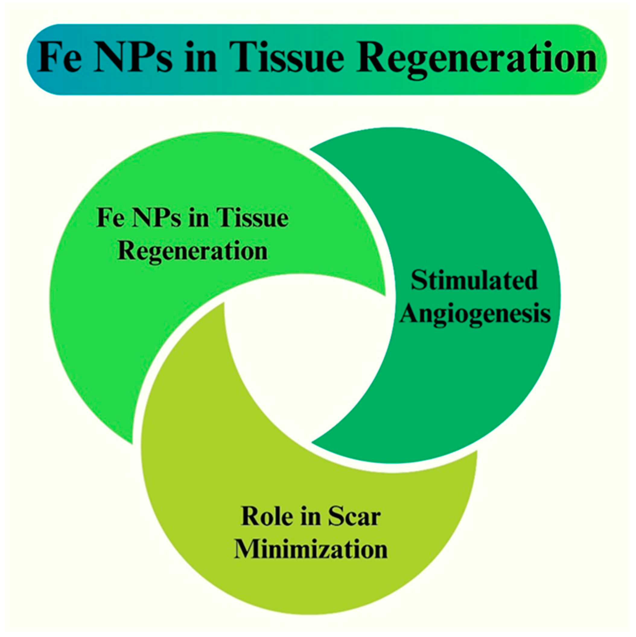 Pharmaceutics 16 00645 g020