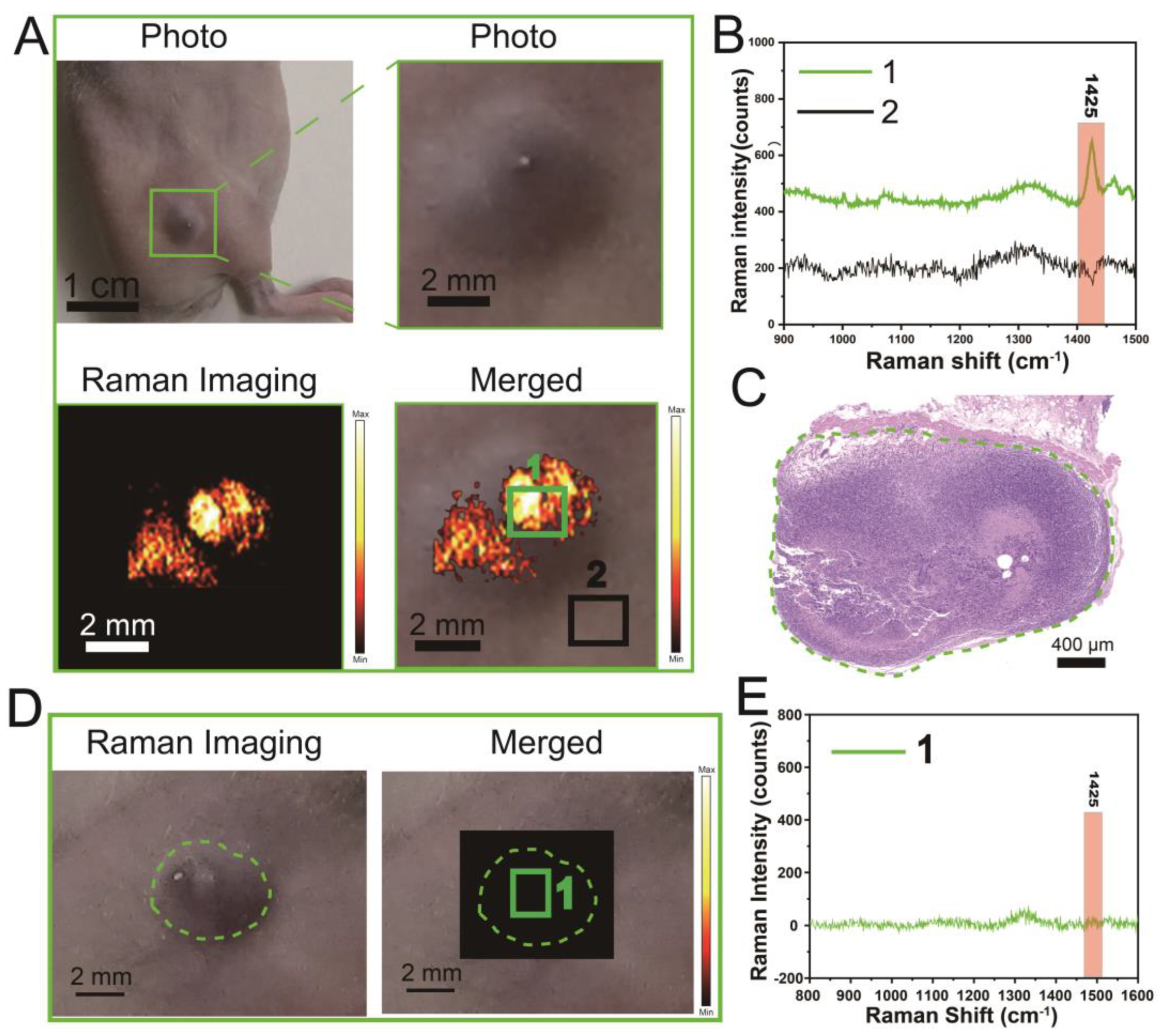 Pharmaceutics 16 00655 g007