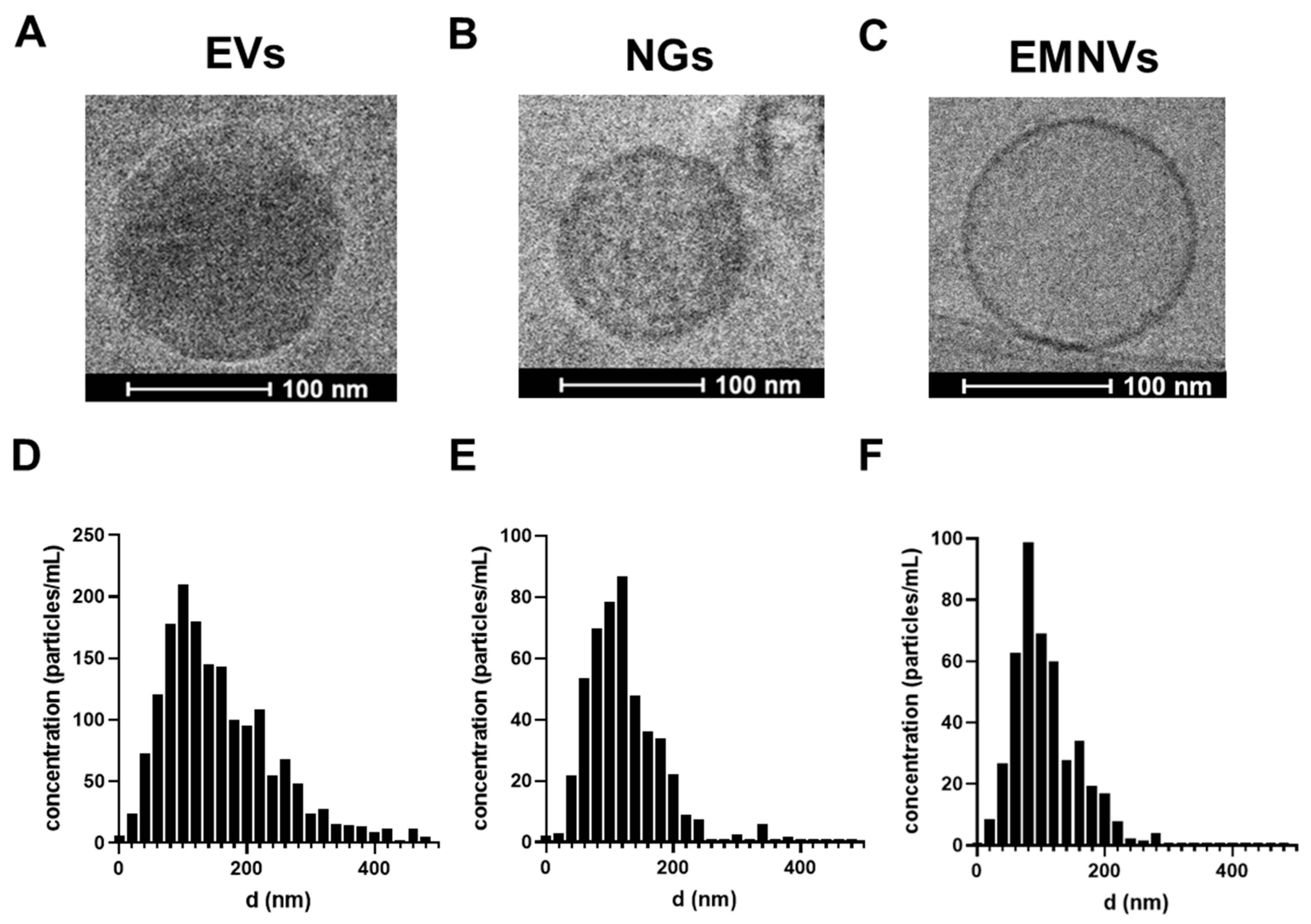 Pharmaceutics 16 00667 g001