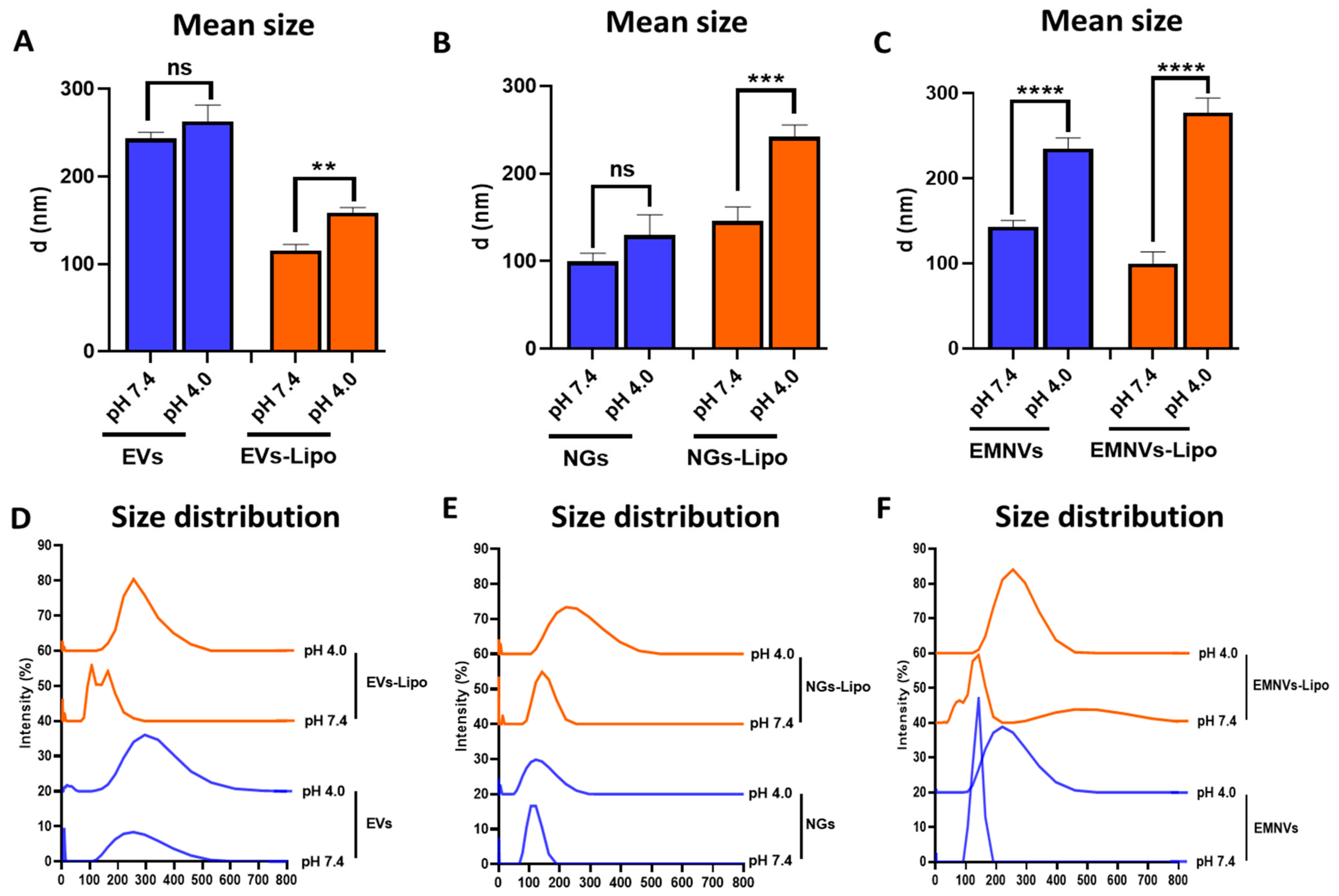 Pharmaceutics 16 00667 g004