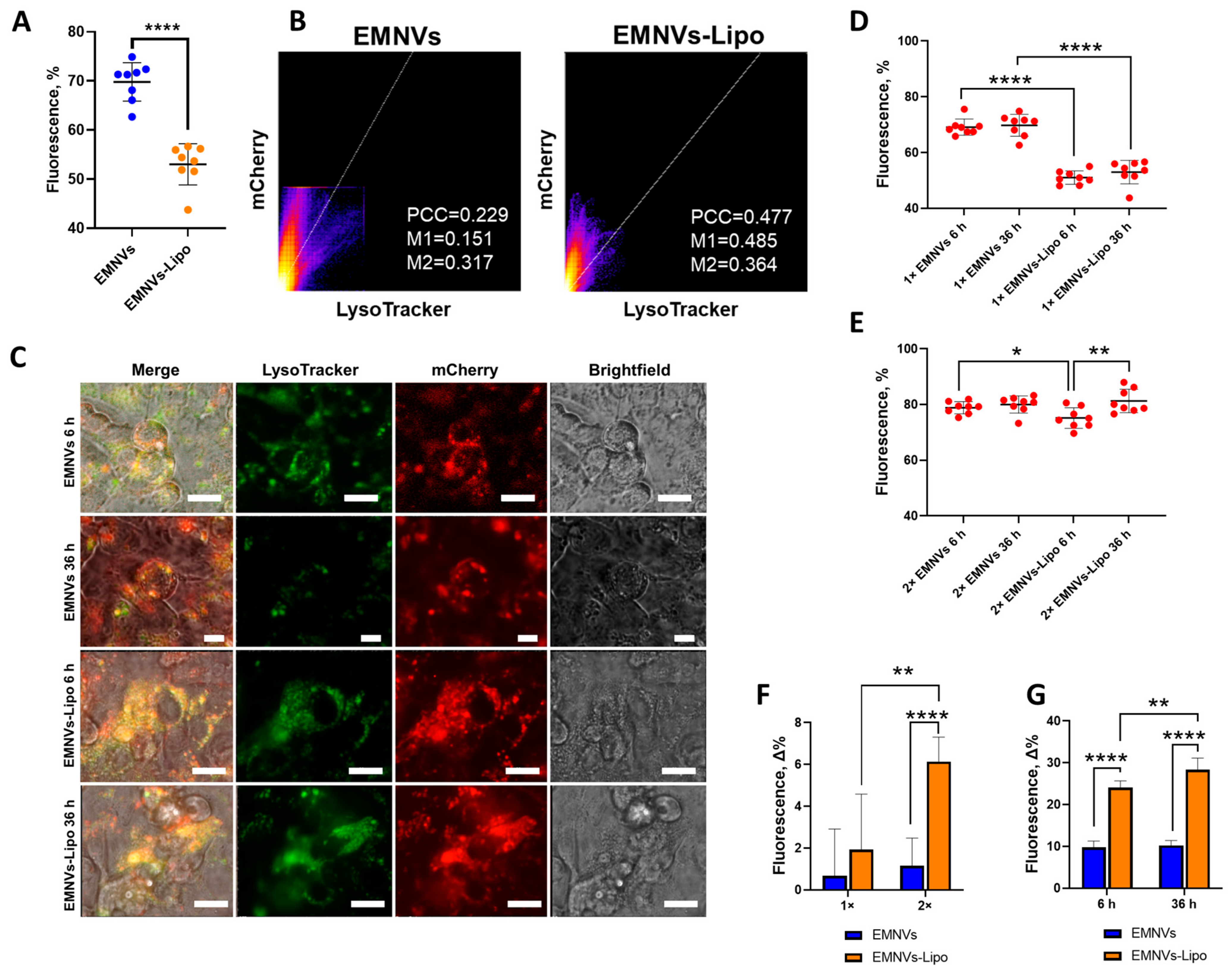 Pharmaceutics 16 00667 g007