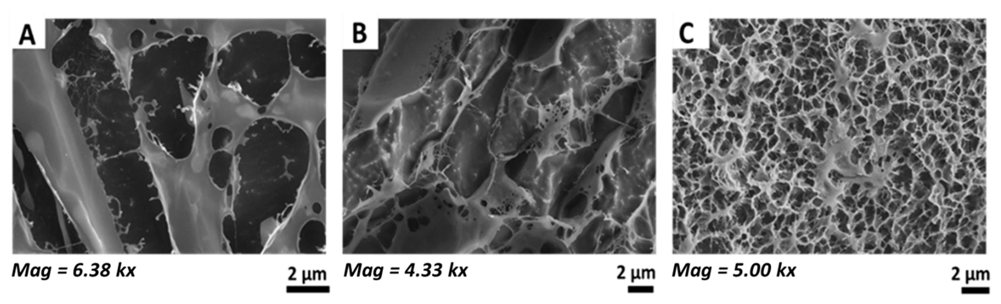 Pharmaceutics 16 00682 g005