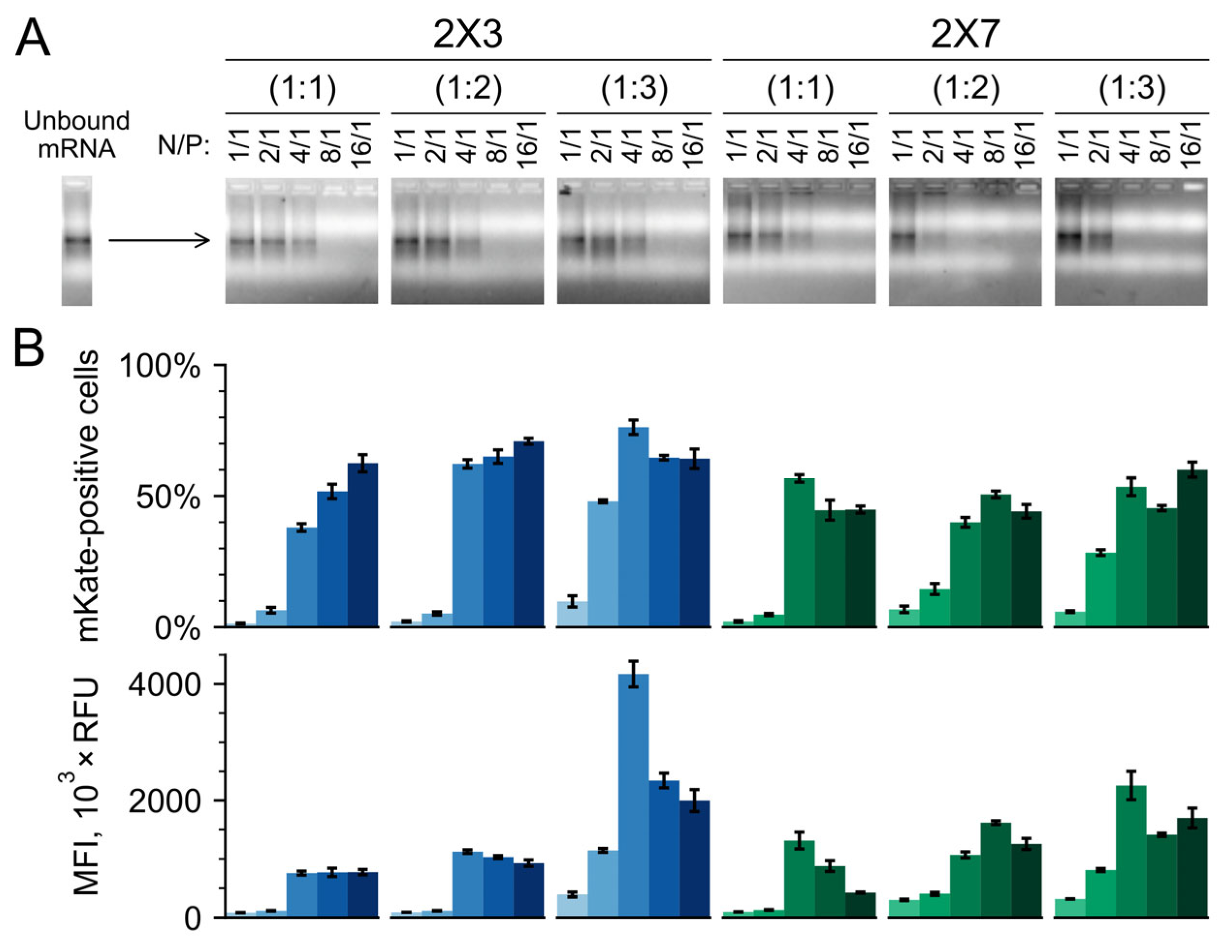 Pharmaceutics 16 00684 g002