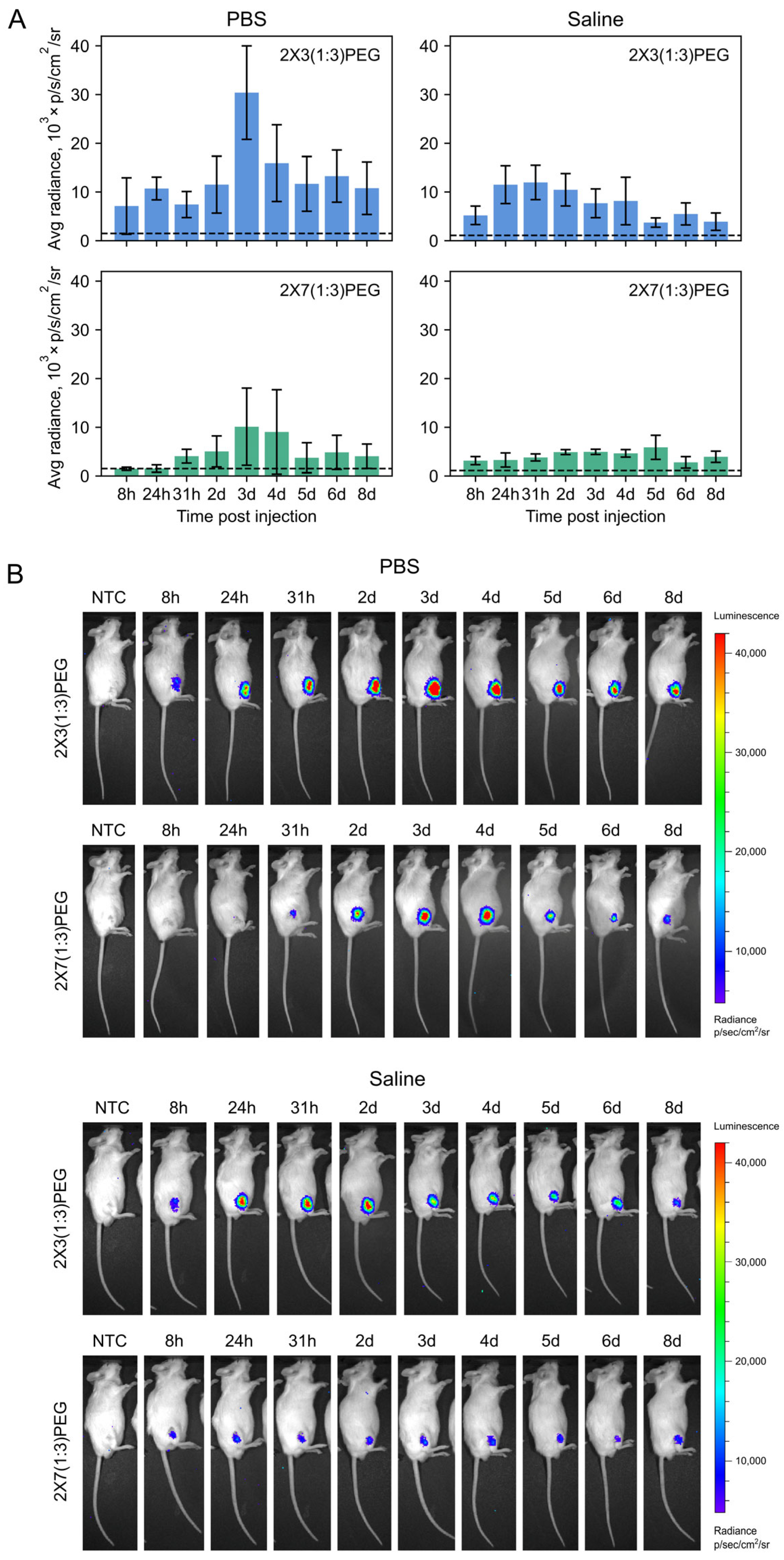 Pharmaceutics 16 00684 g004