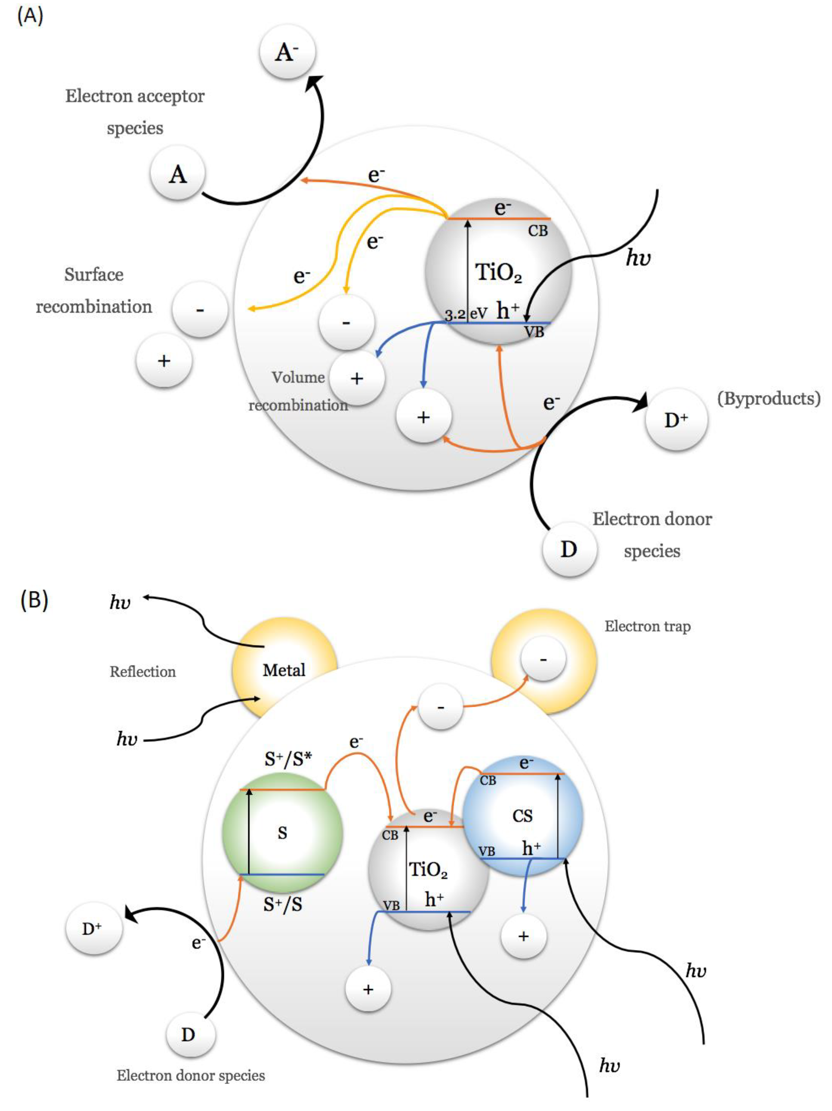 Photochem 02 00038 g002