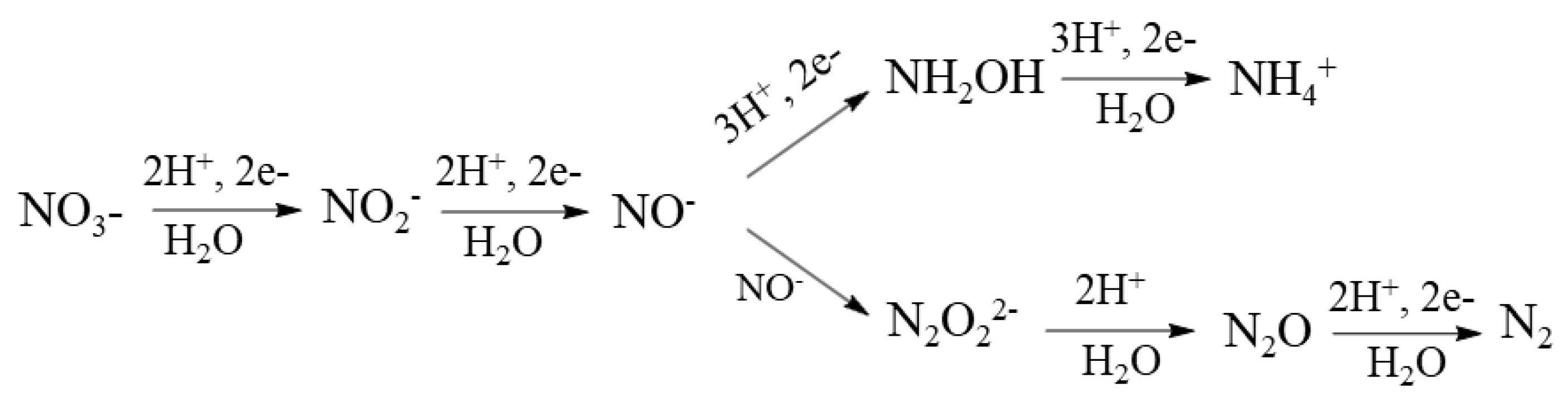 Photochem 02 00038 sch001