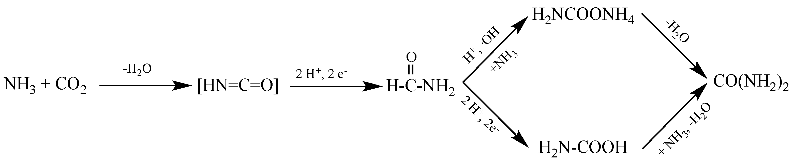 Photochem 02 00038 sch003