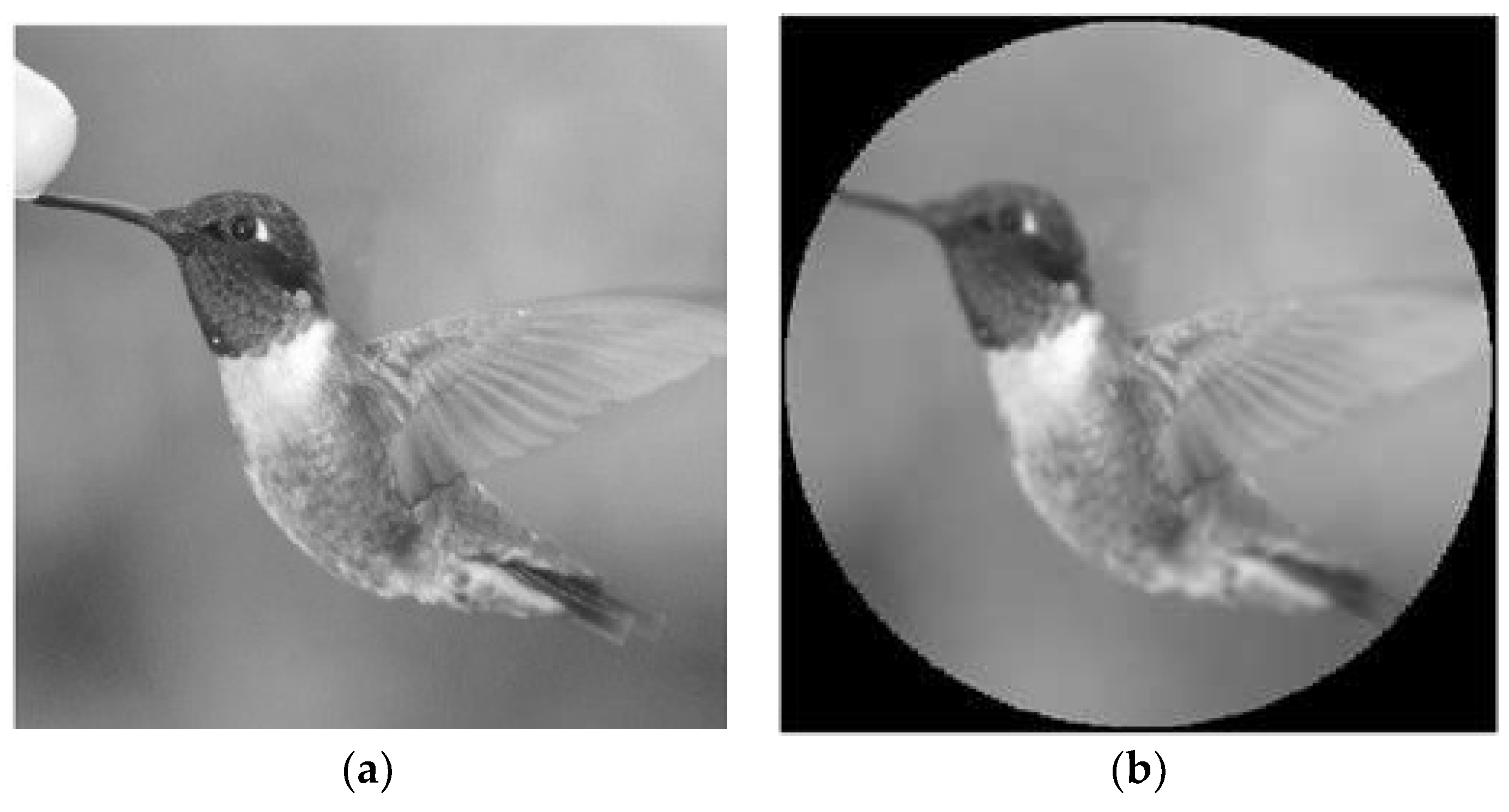 Photonics 05 00018 g009