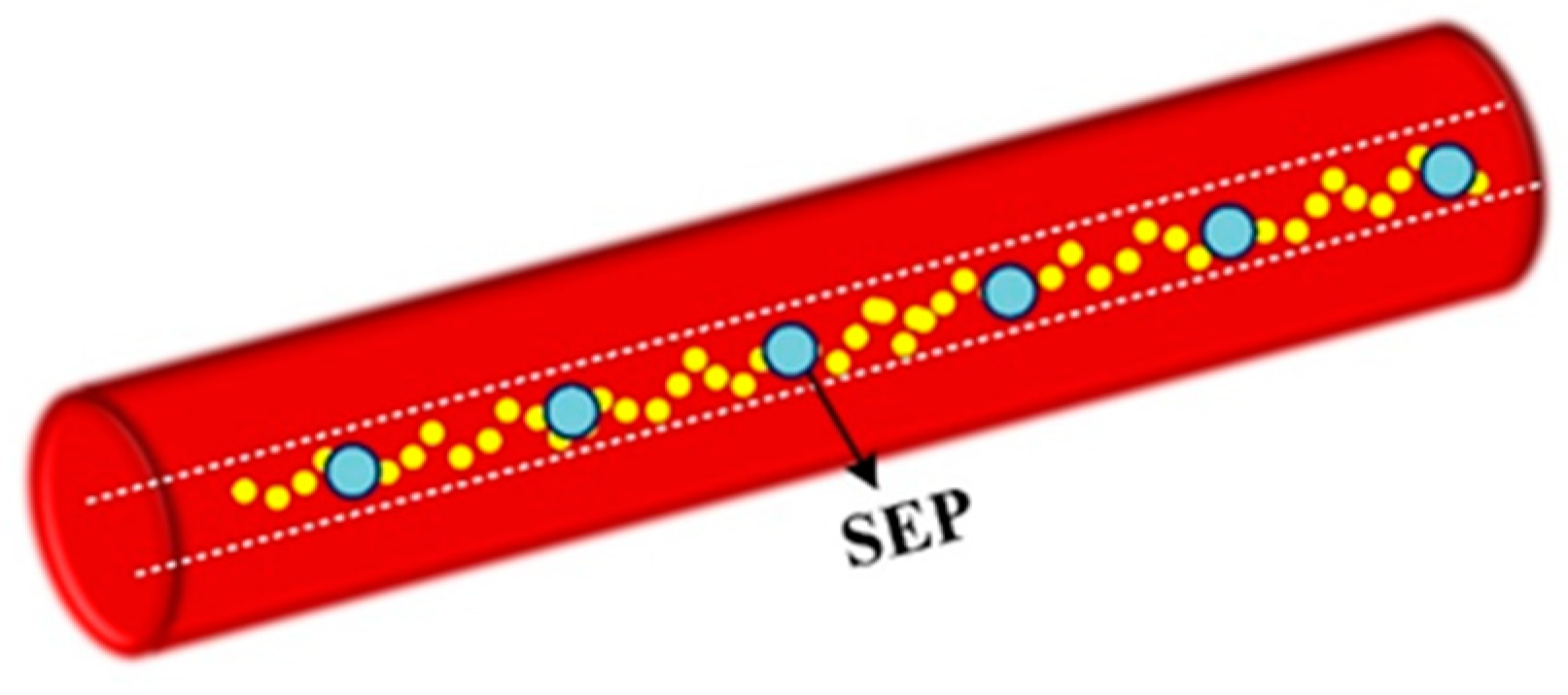 Photonics 09 00277 g006