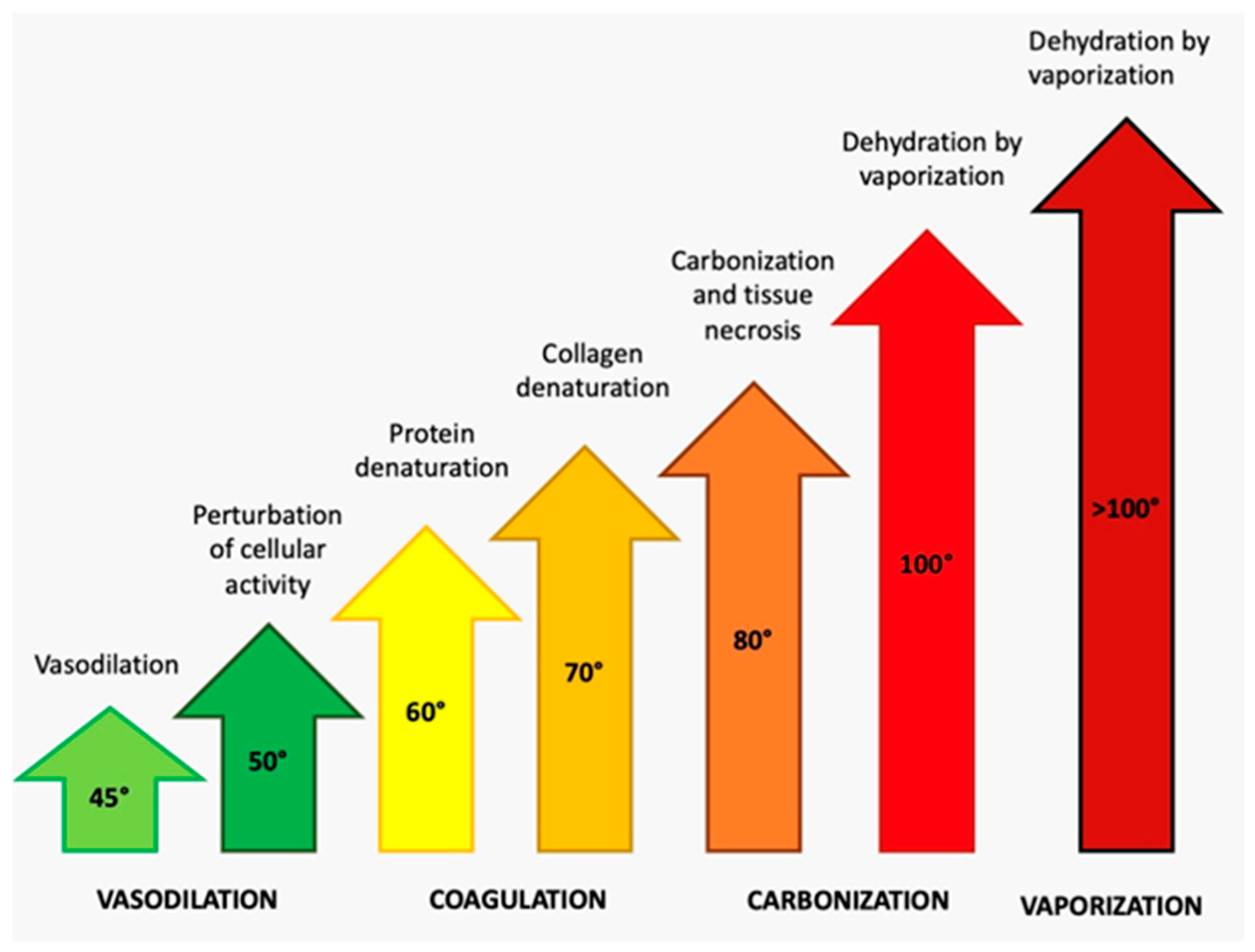 Photonics 10 00650 g005