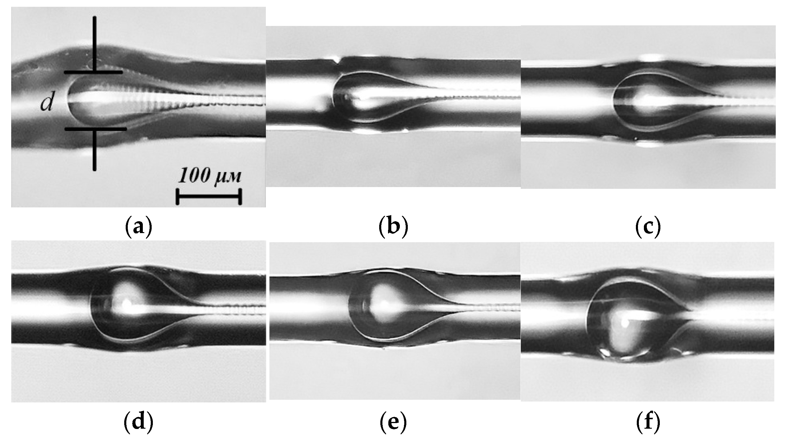 Photonics 11 00022 g002