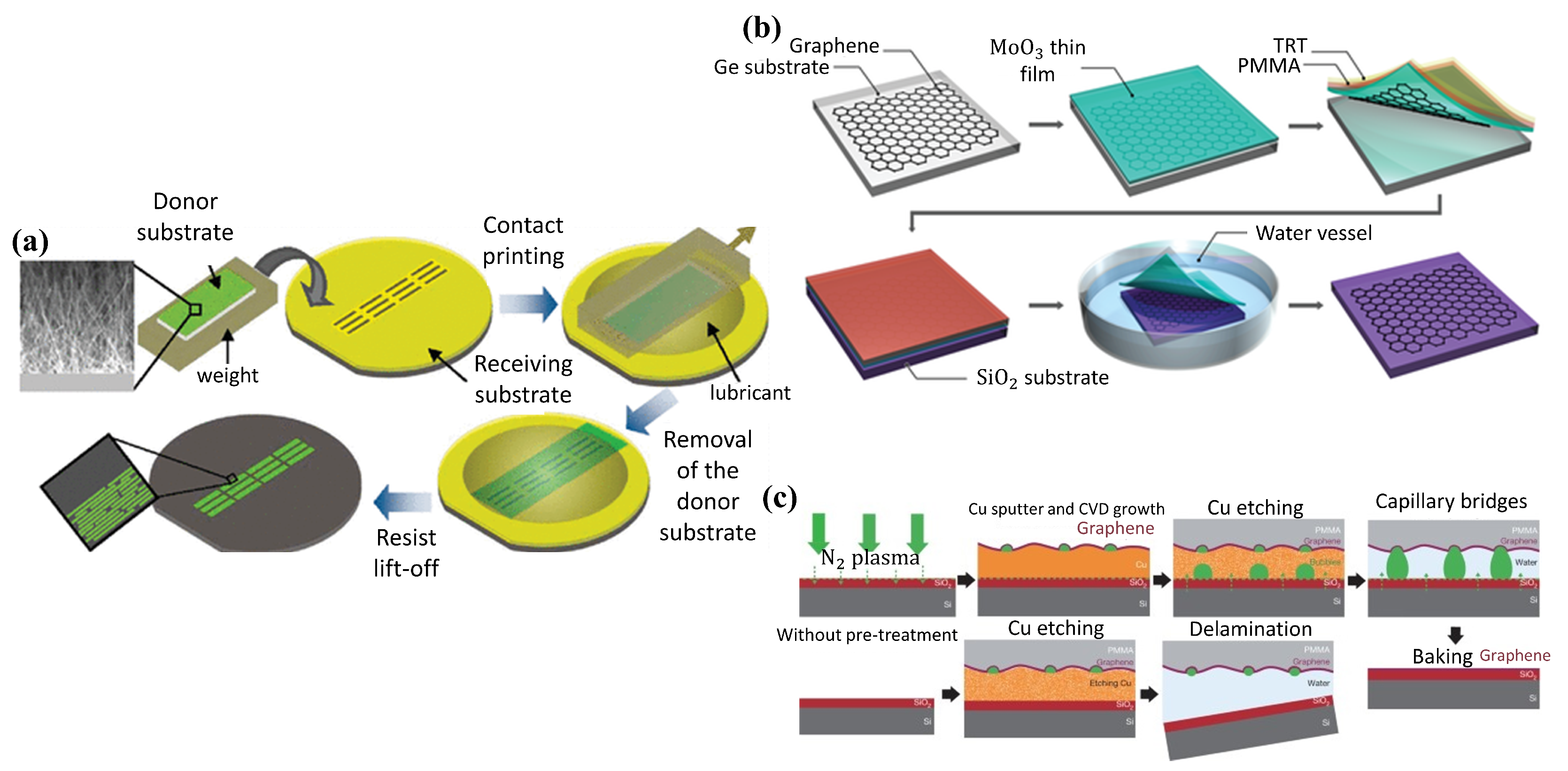Photonics 11 00418 g003