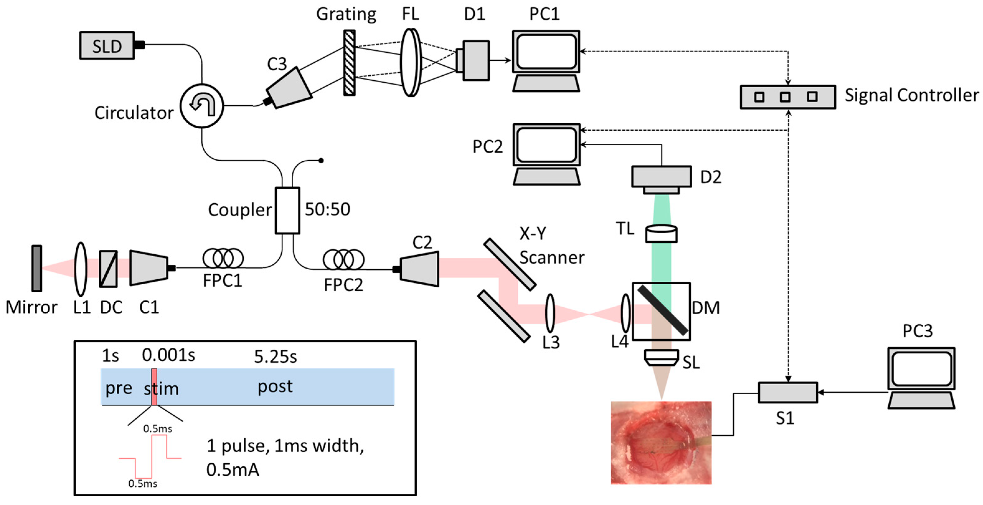 Photonics 11 00420 g001