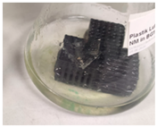 Phycology 03 00032 i006