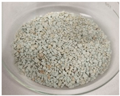 Phycology 03 00032 i007