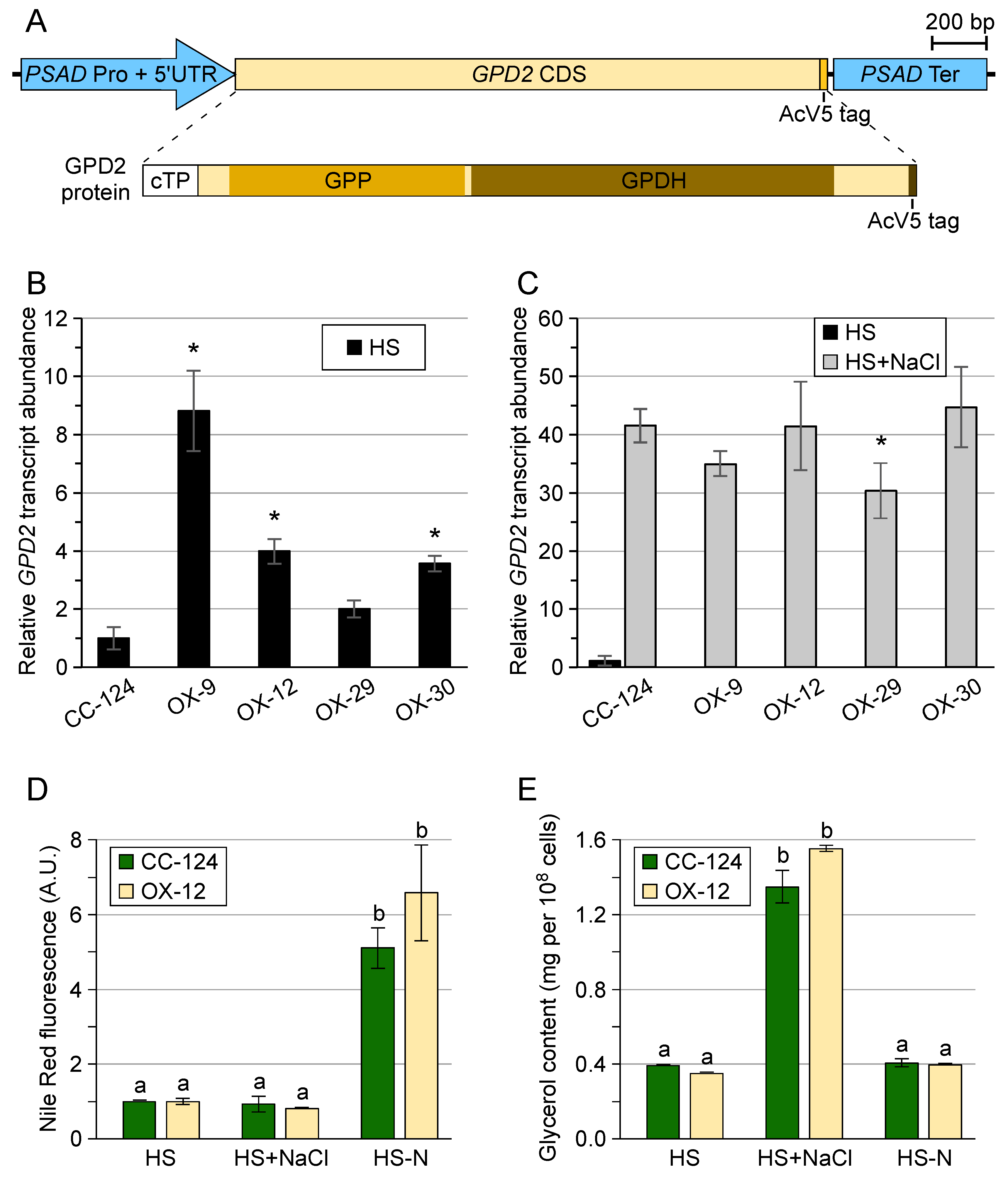 Phycology 04 00012 g002
