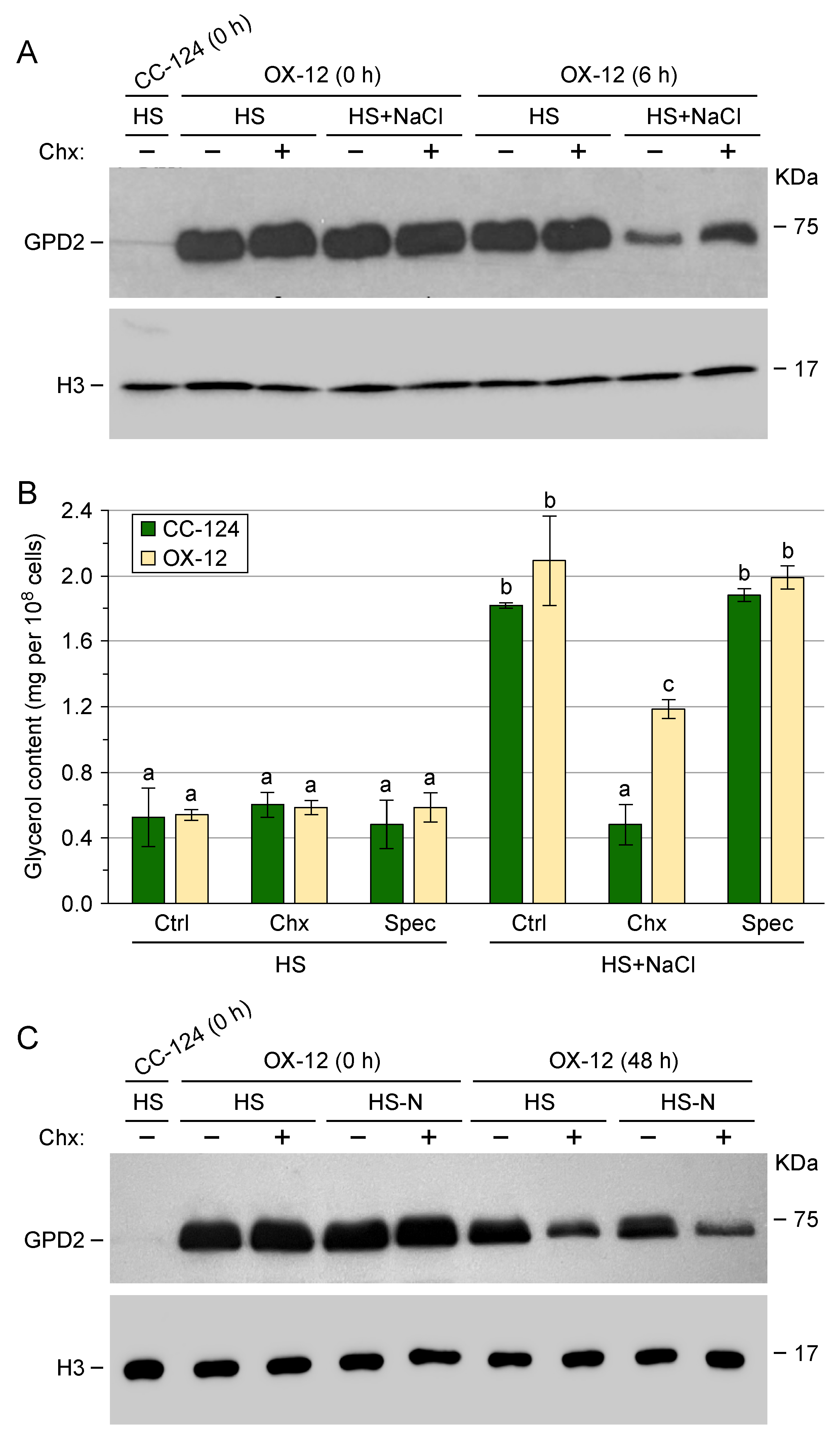 Phycology 04 00012 g003