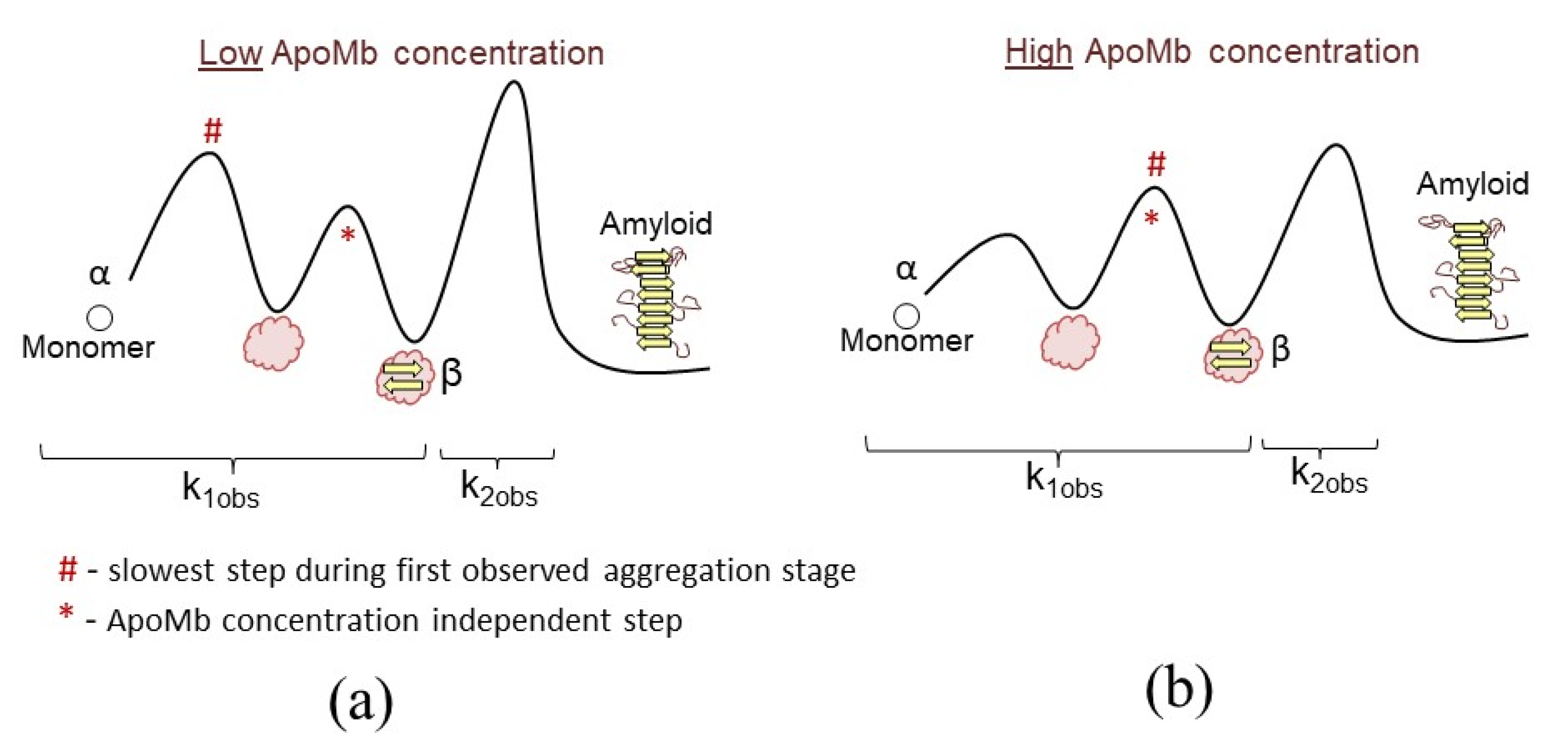 Physchem 03 00021 g003