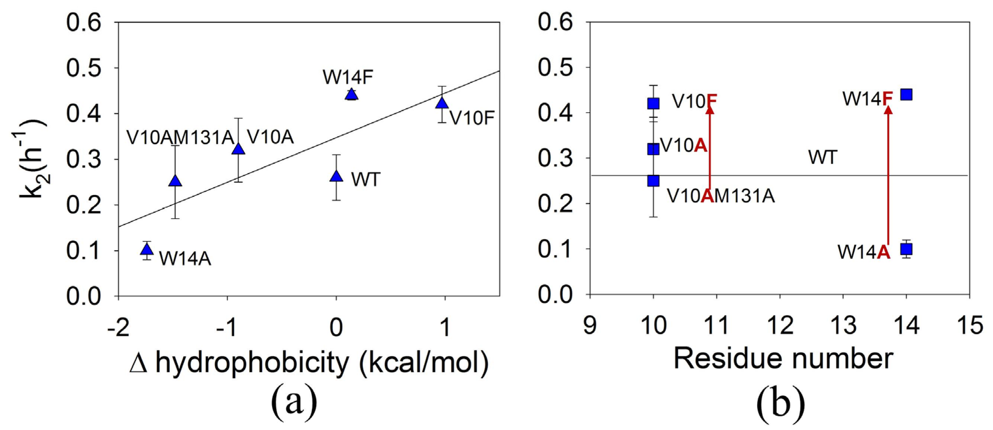 Physchem 03 00021 g006