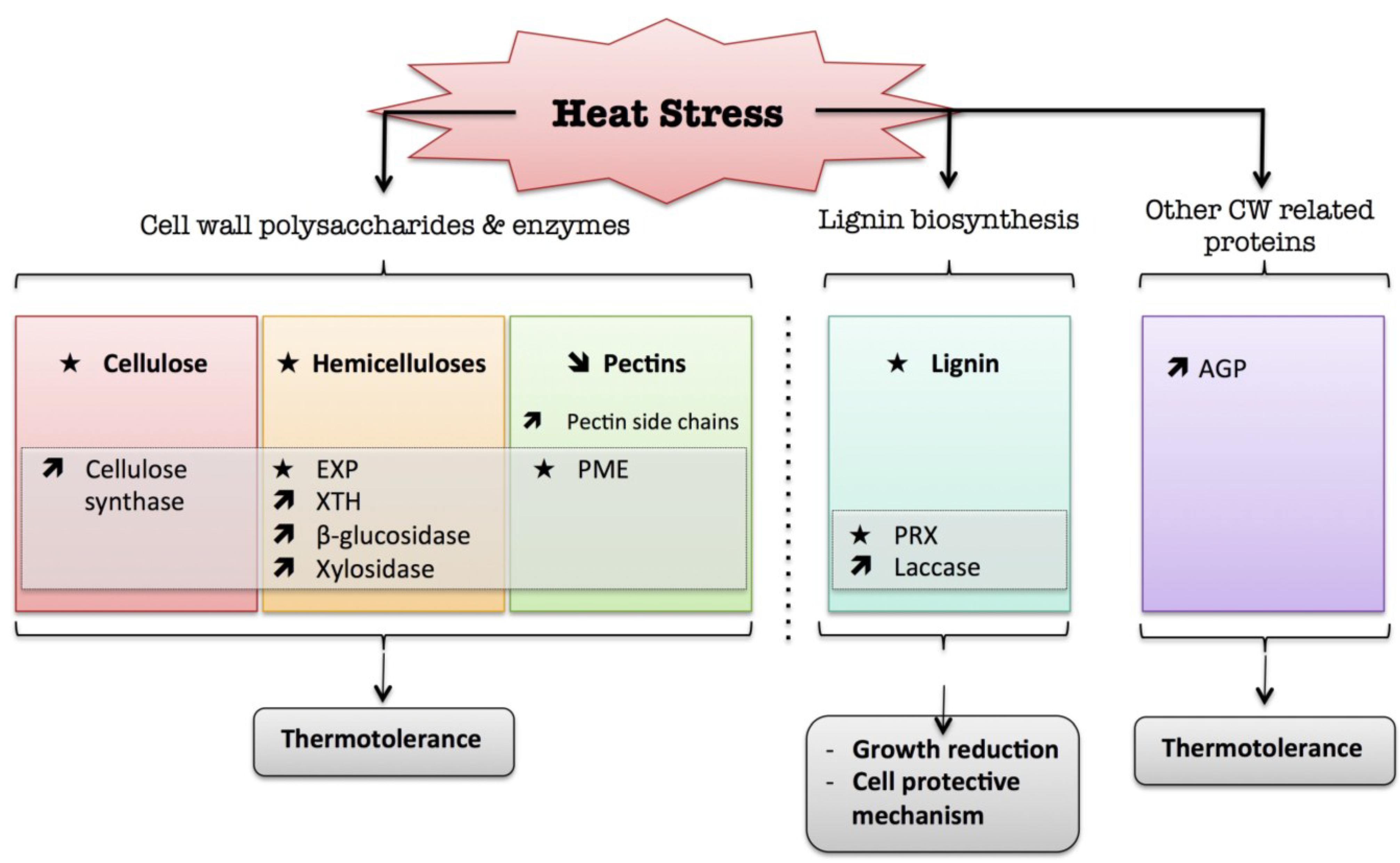 Plants 04 00112 g003