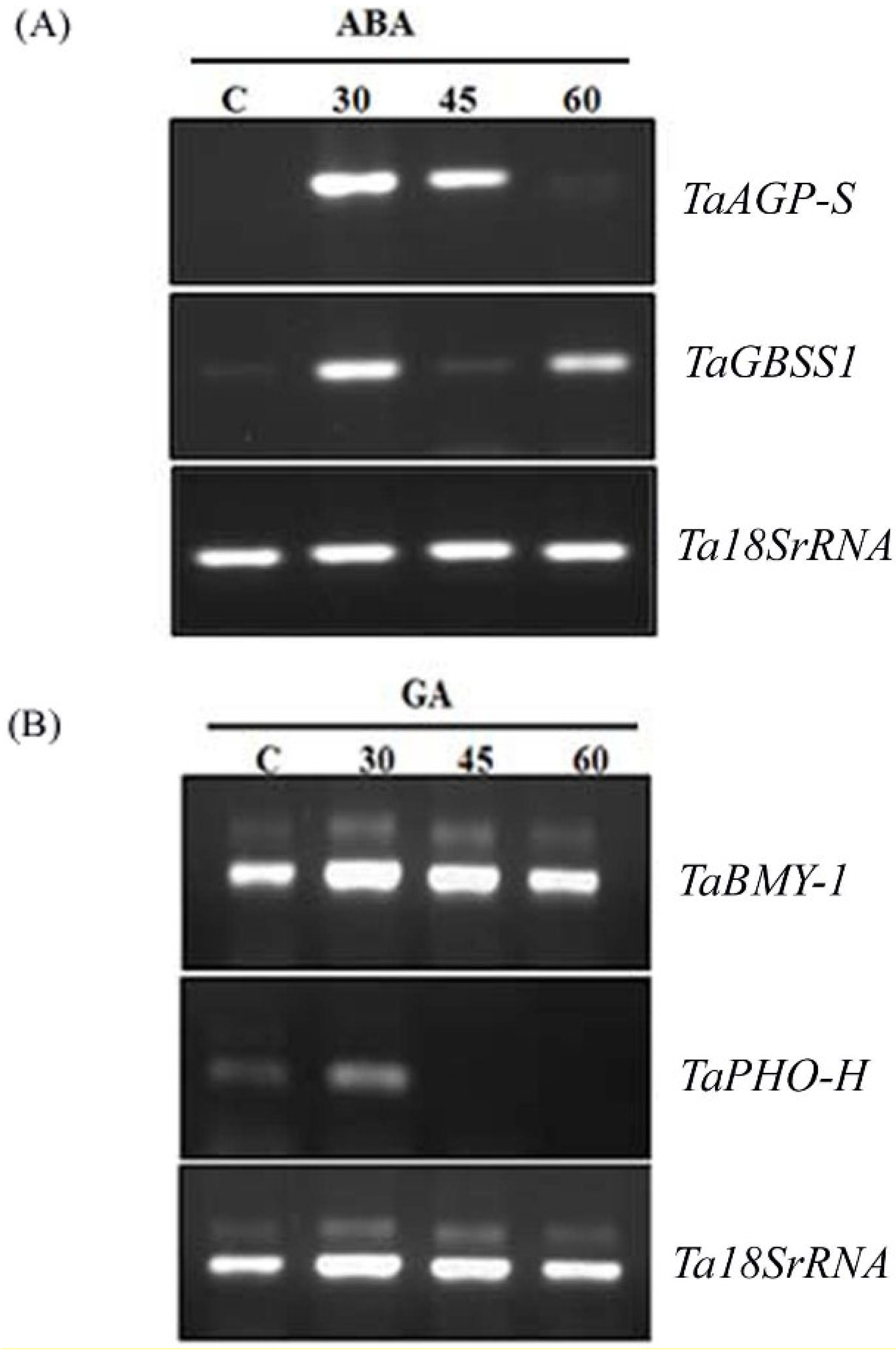 Plants 04 00298 g007