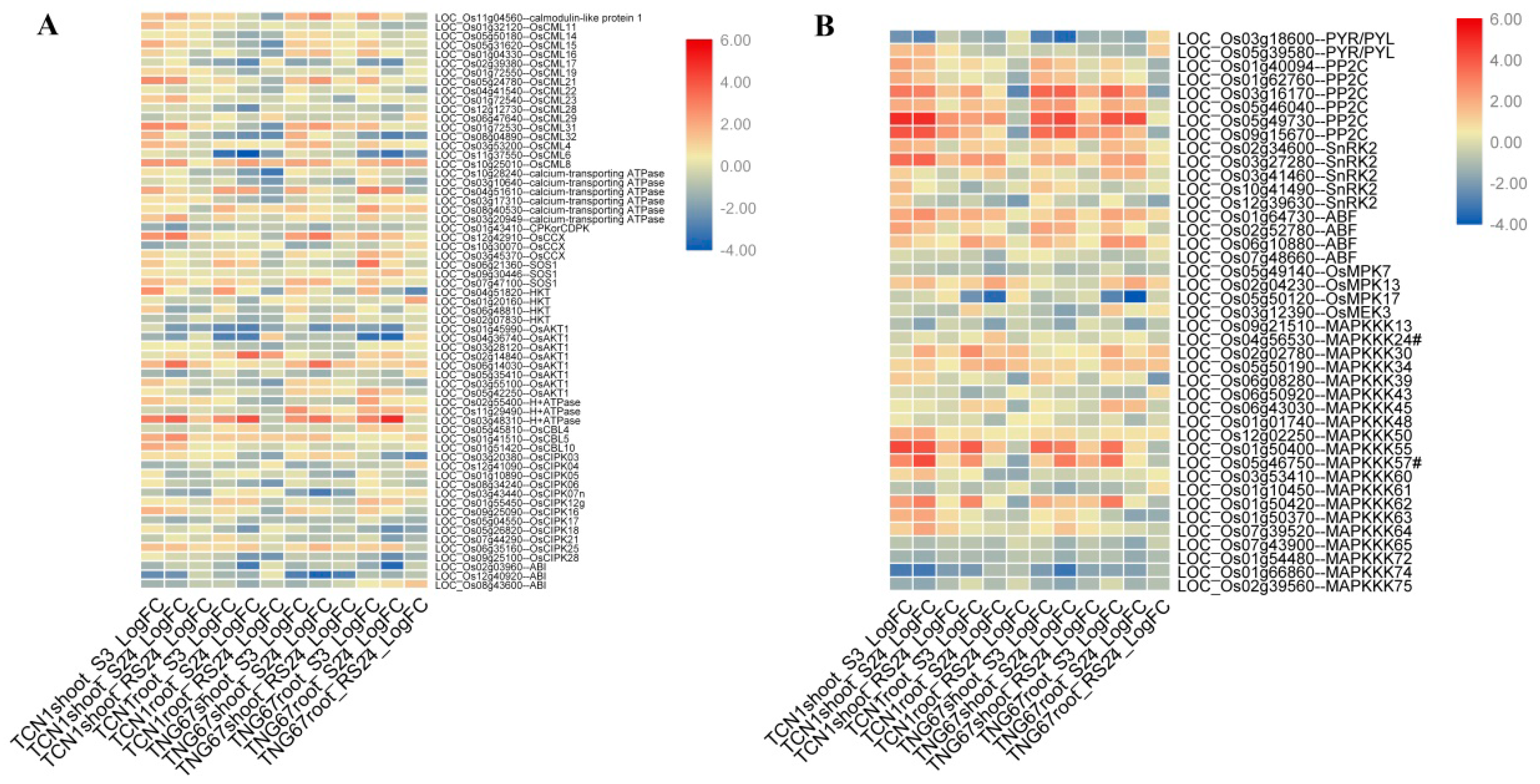 Plants 08 00064 g005