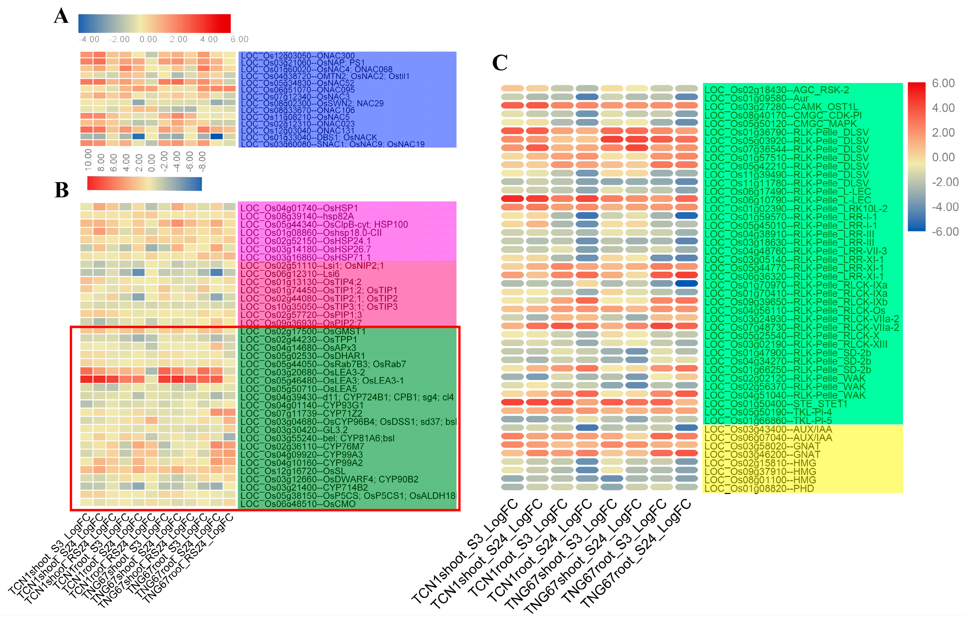 Plants 08 00064 g006