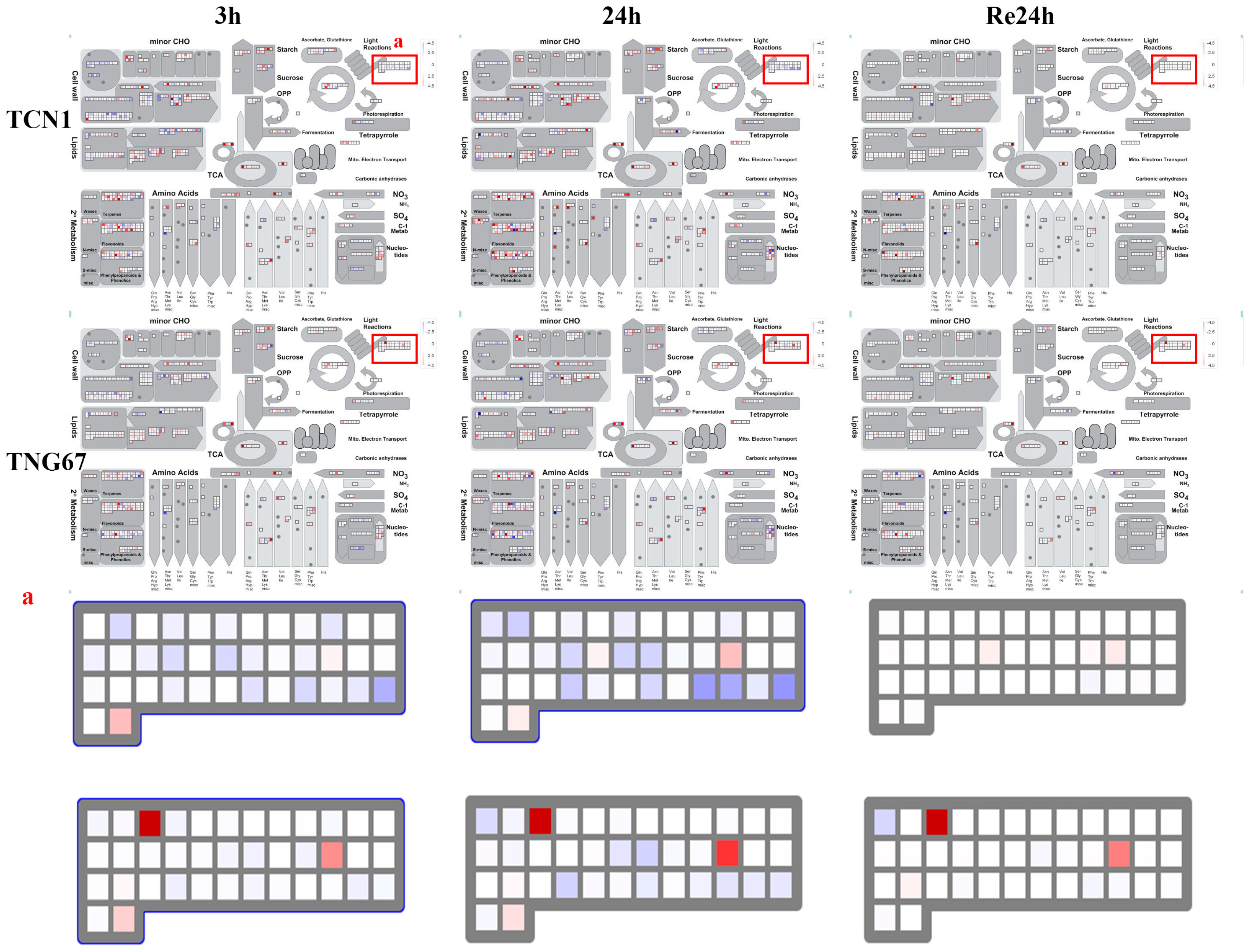 Plants 08 00064 g007