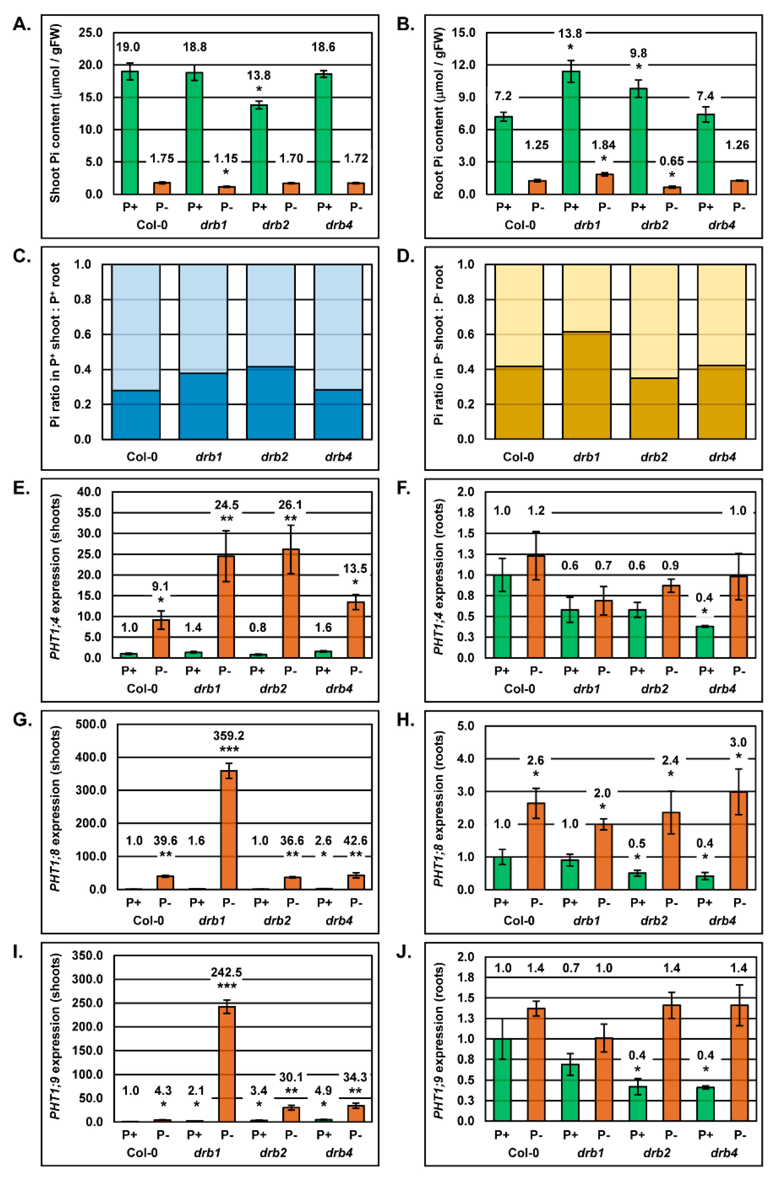 Plants 08 00124 g005