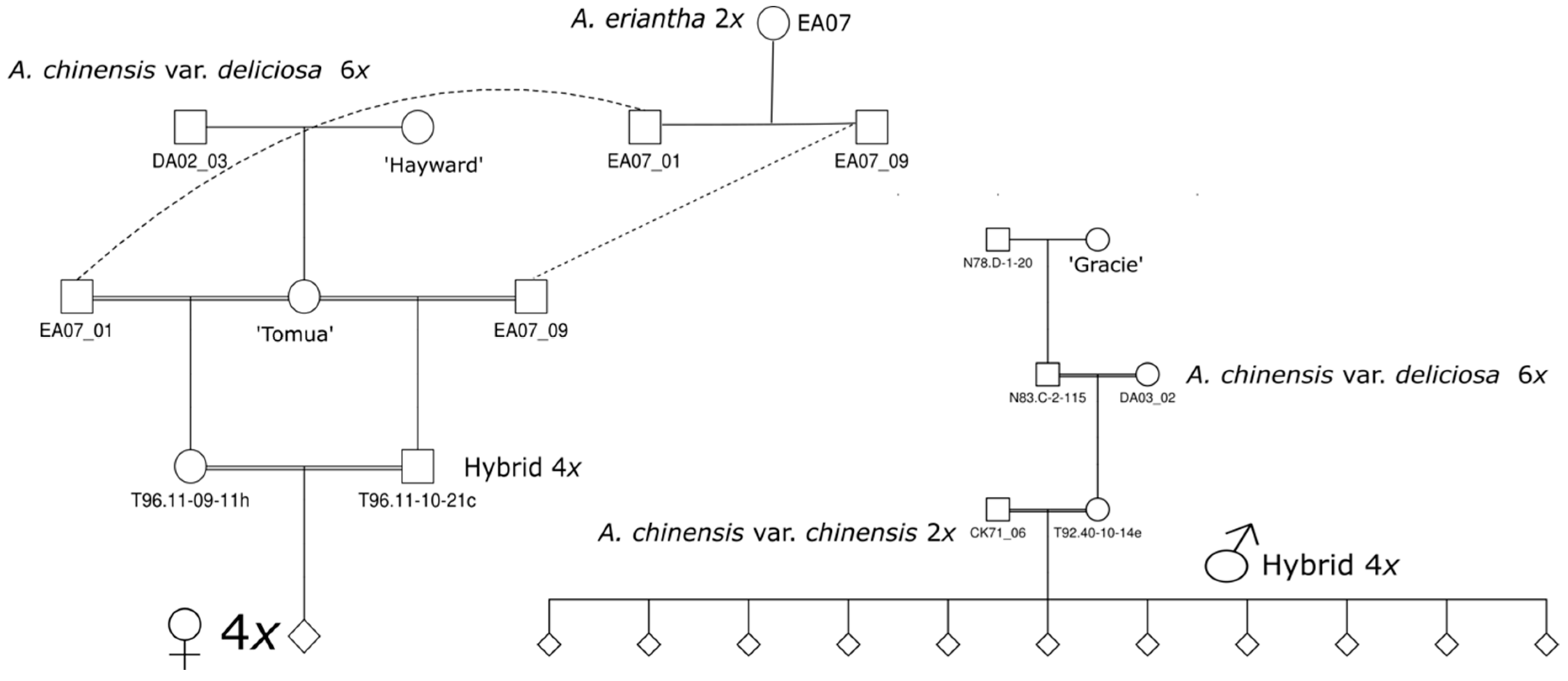 Plants 08 00237 g002