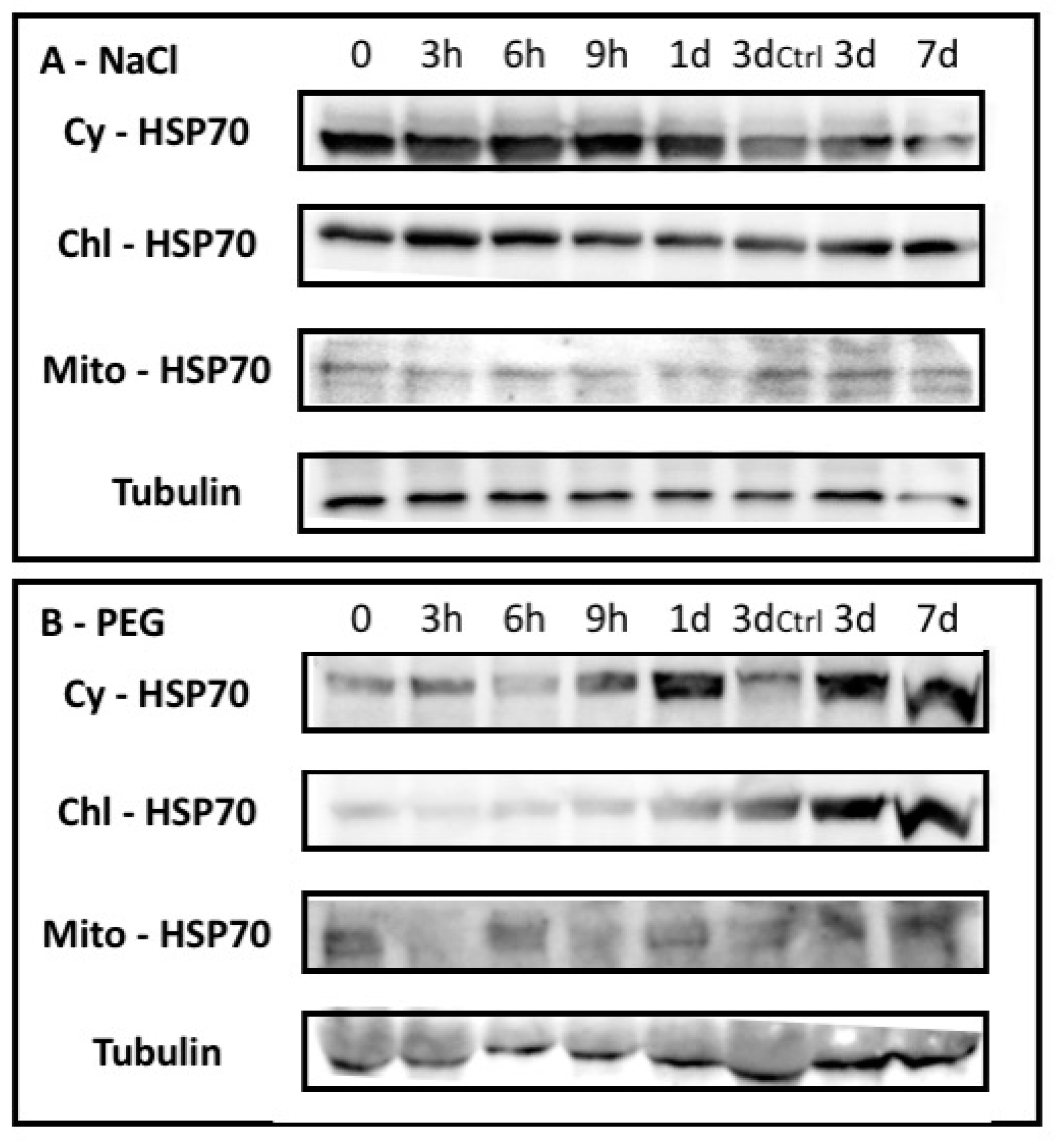 Plants 08 00248 g002