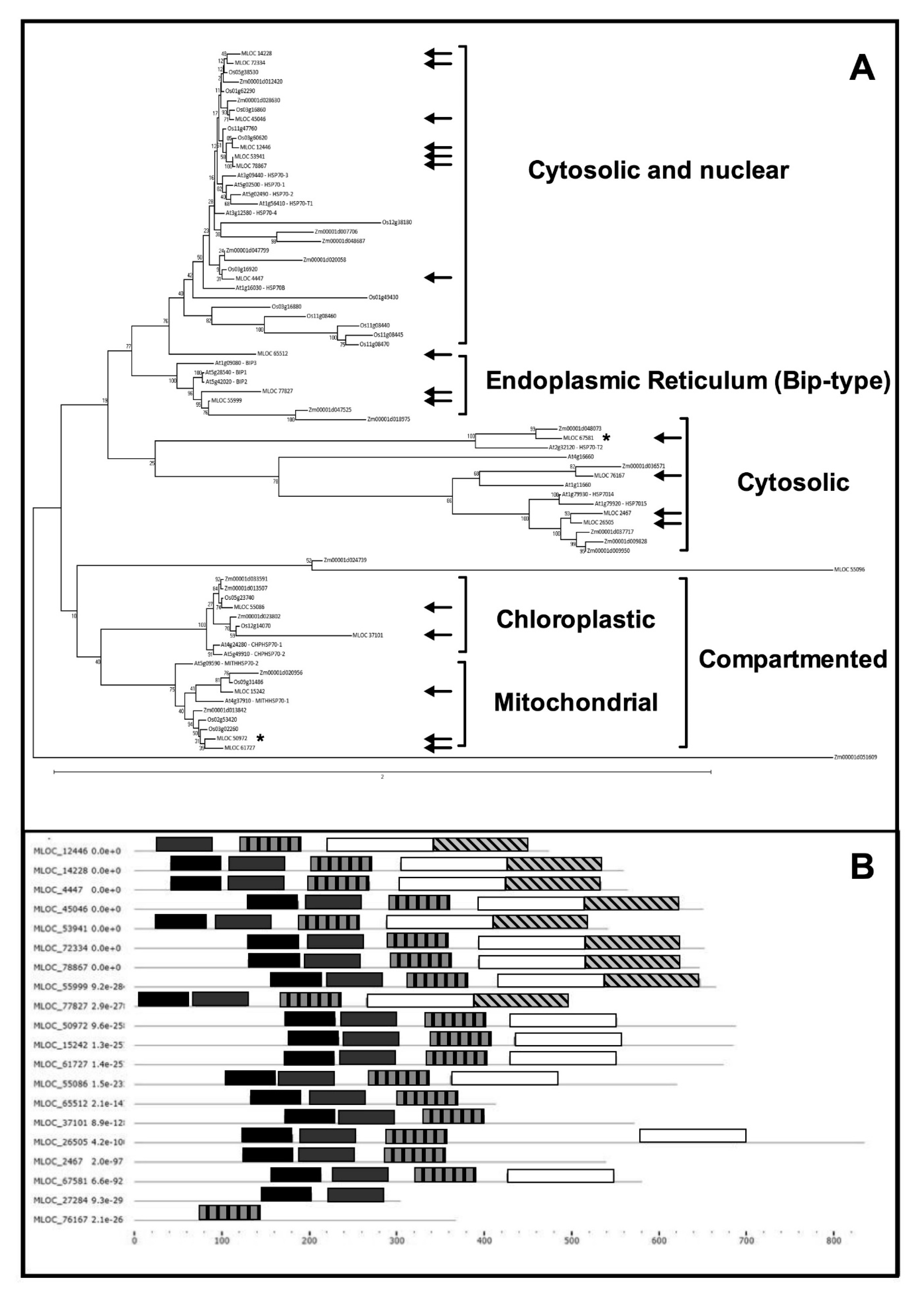Plants 08 00248 g003