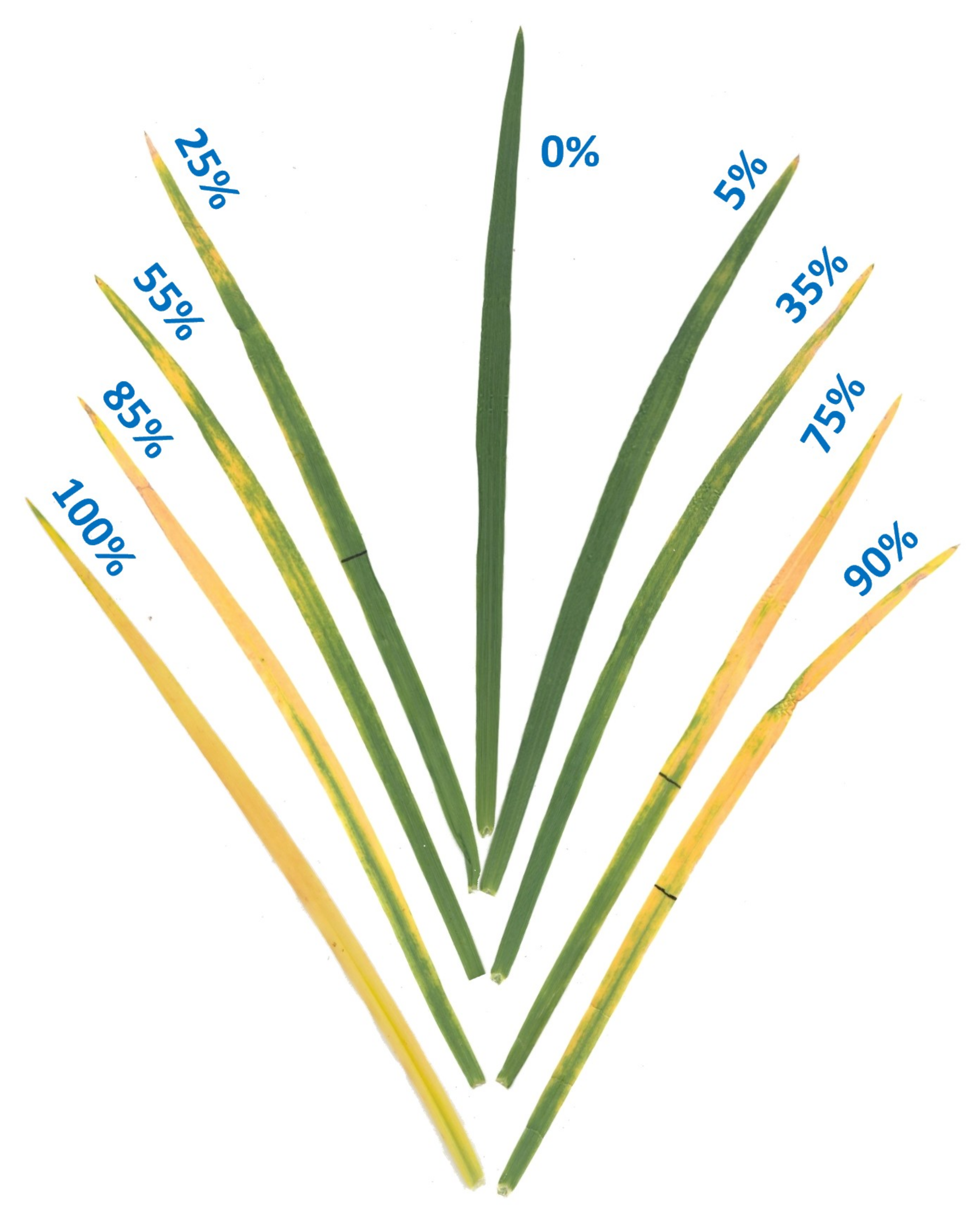 Plants 08 00261 g003