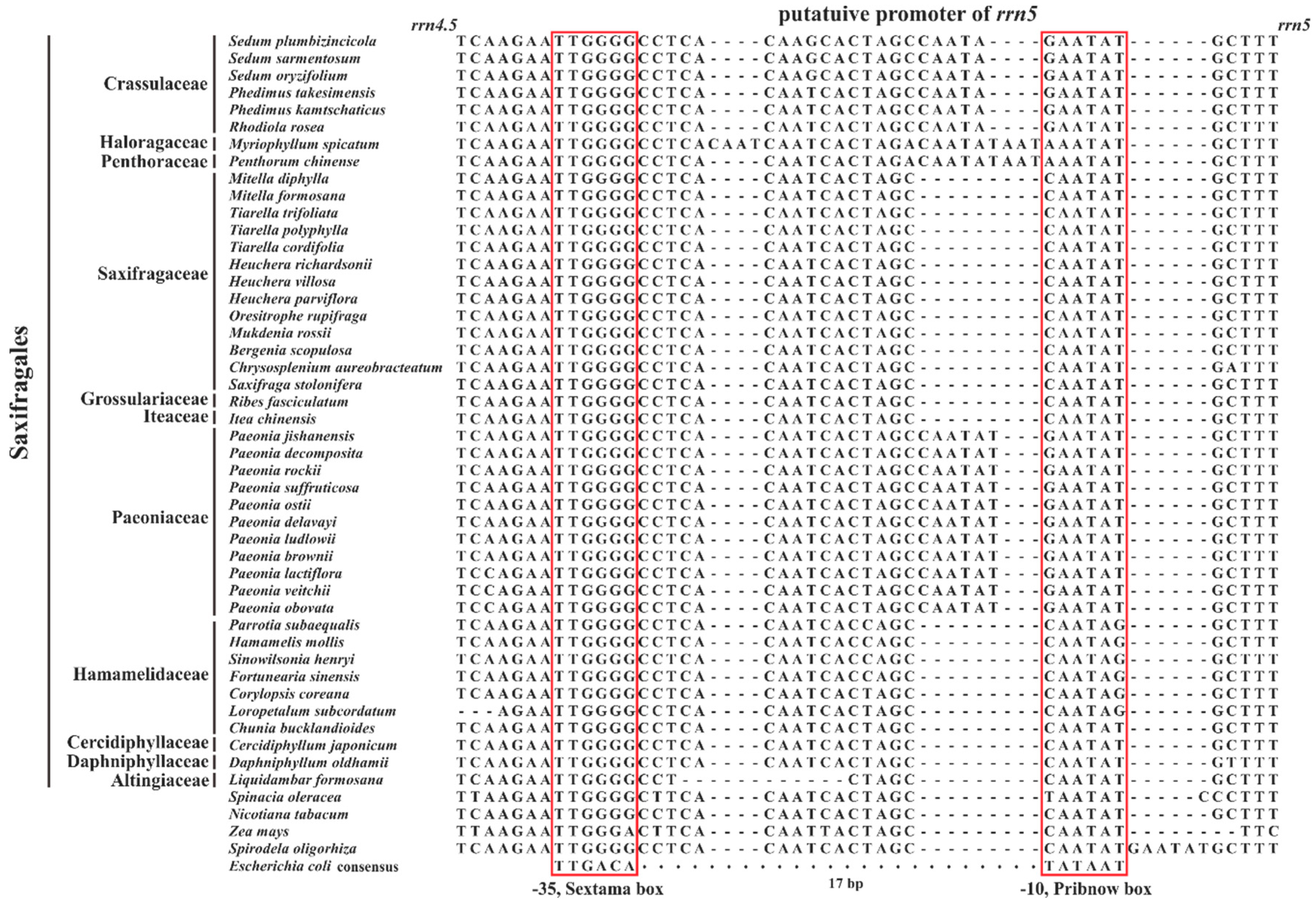 Plants 08 00386 g008