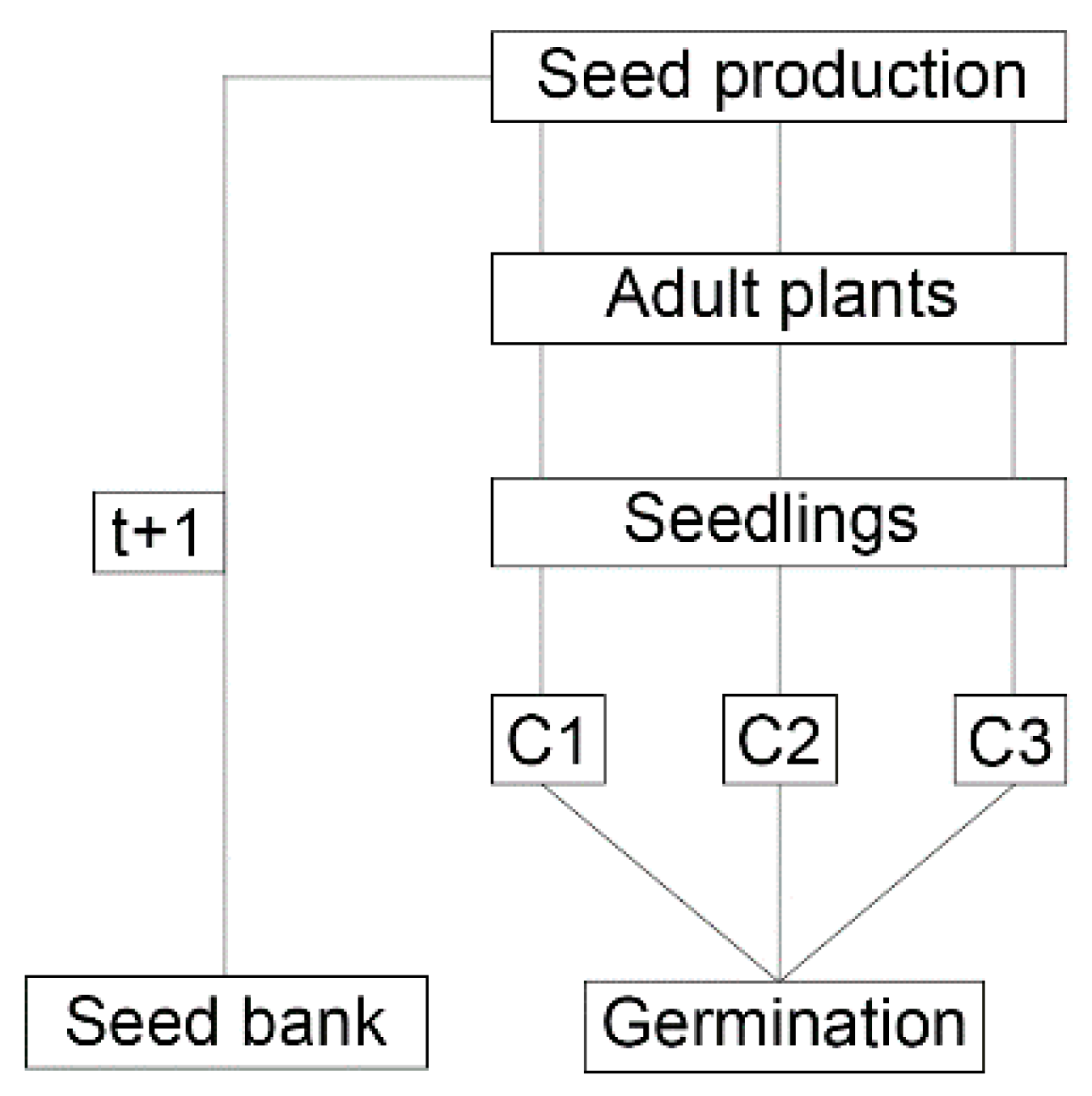 Plants 09 00325 g002
