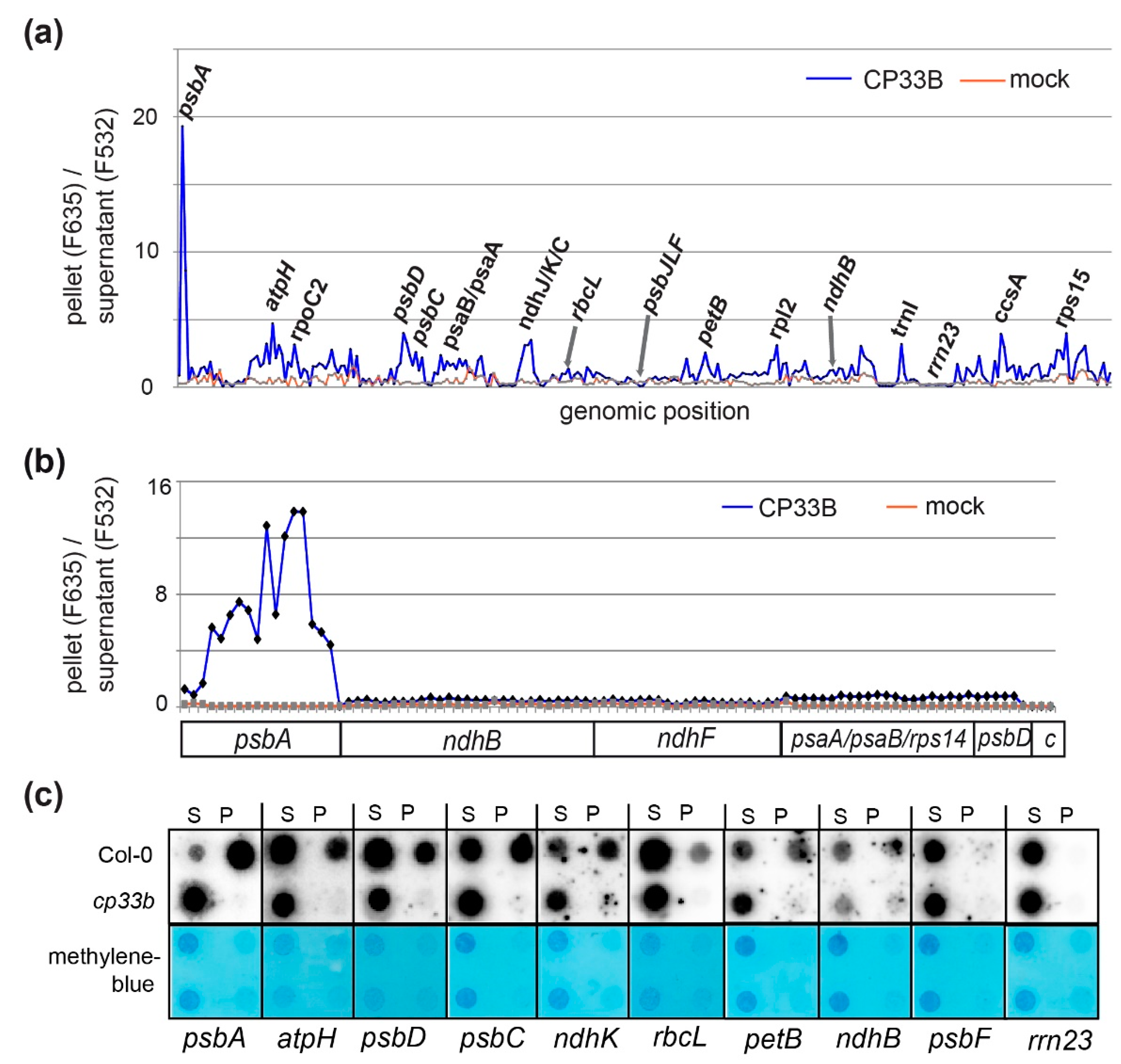 Plants 09 00367 g003