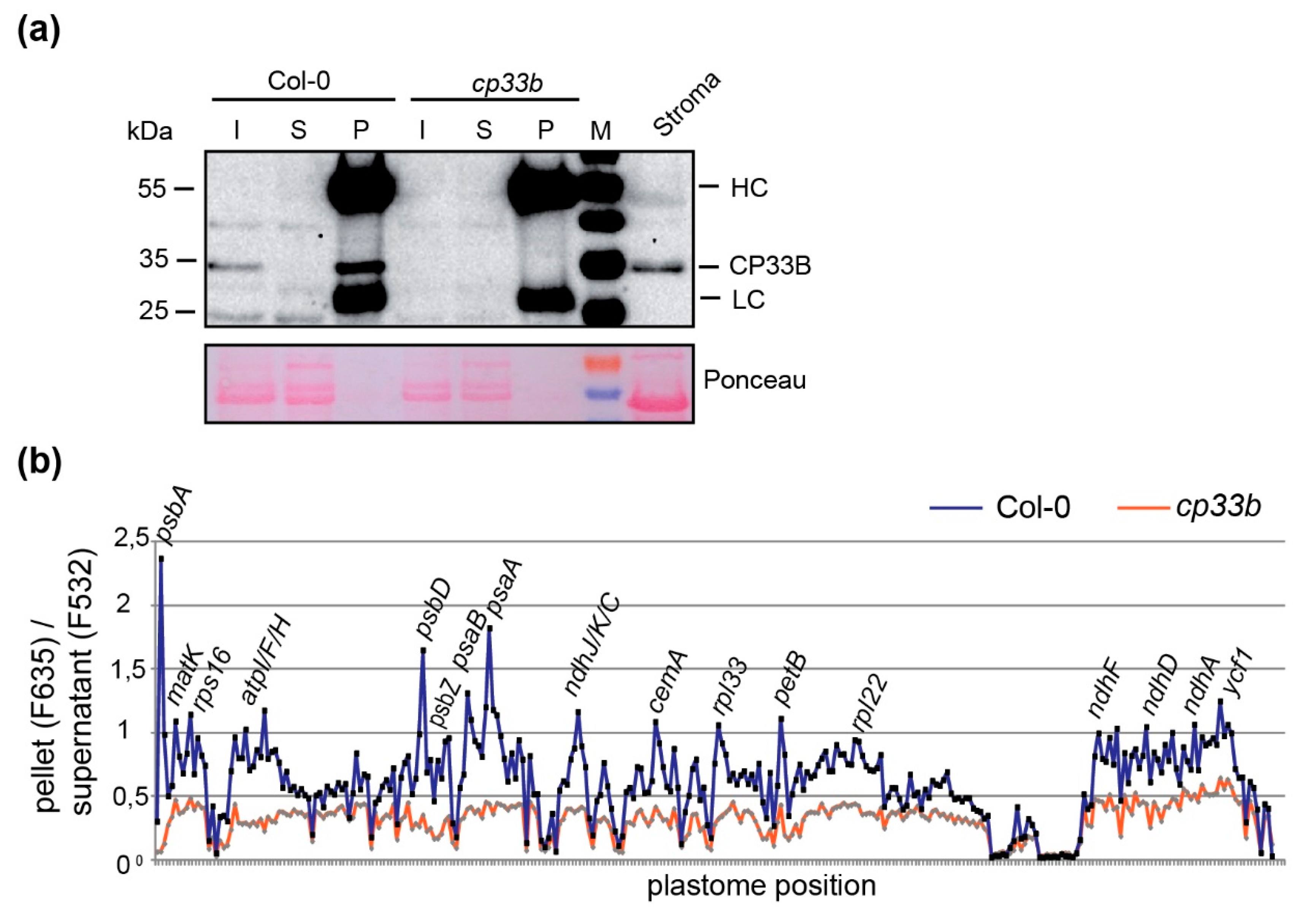 Plants 09 00367 g005