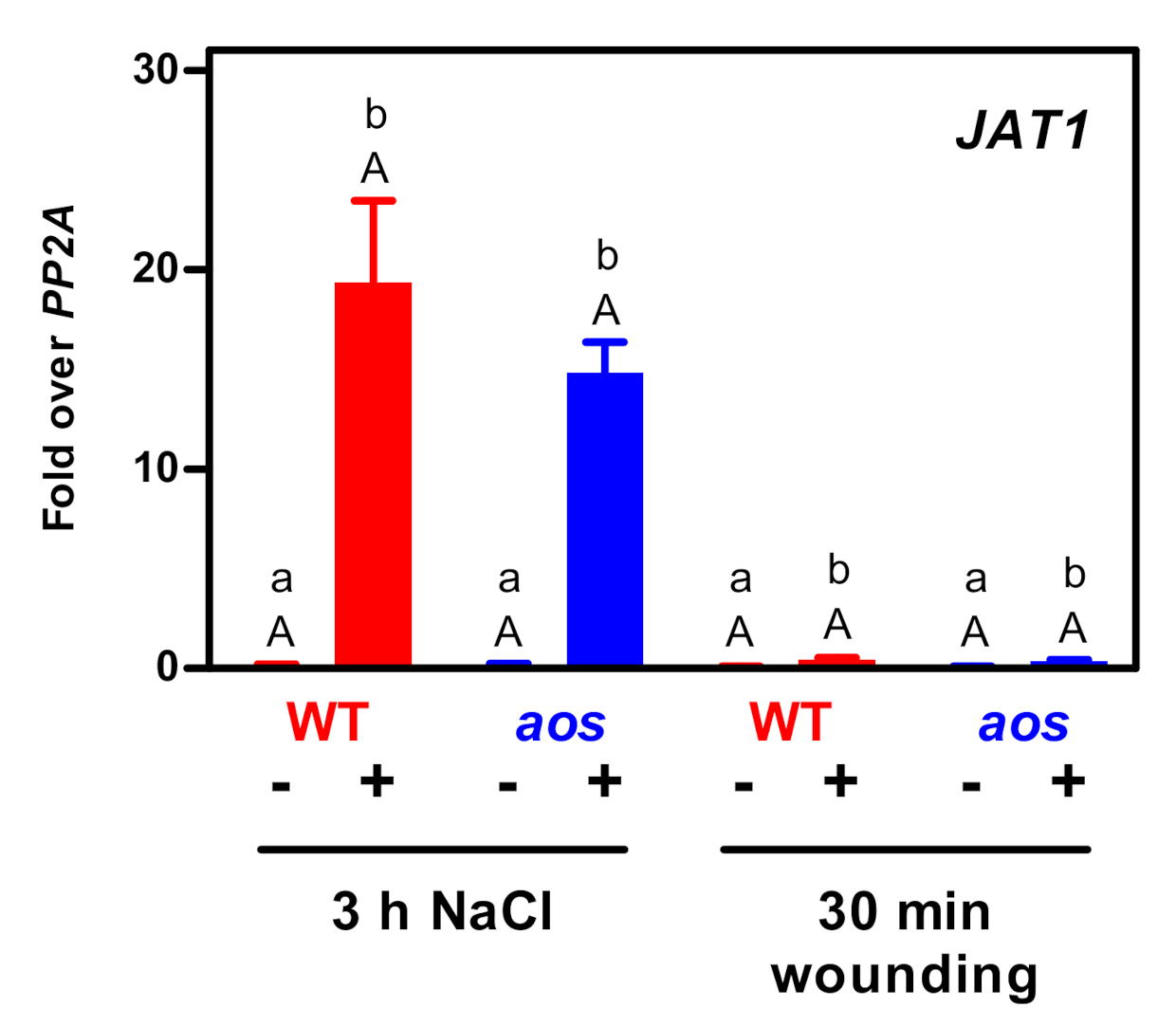 Plants 09 01635 g004