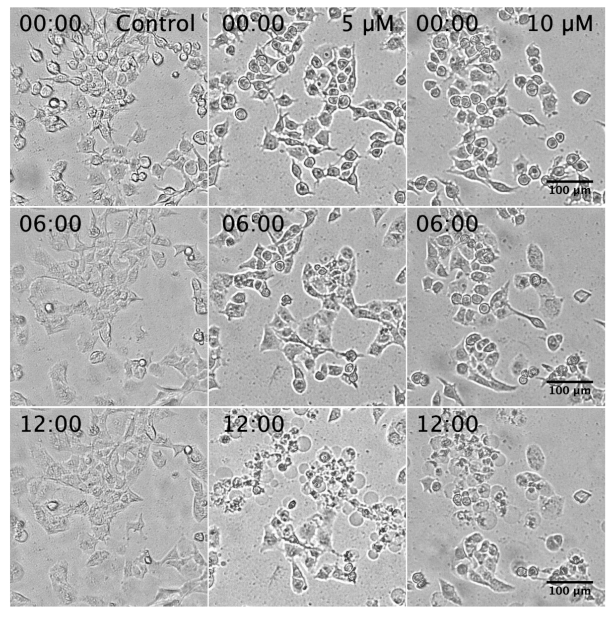 Plants 10 00229 g006