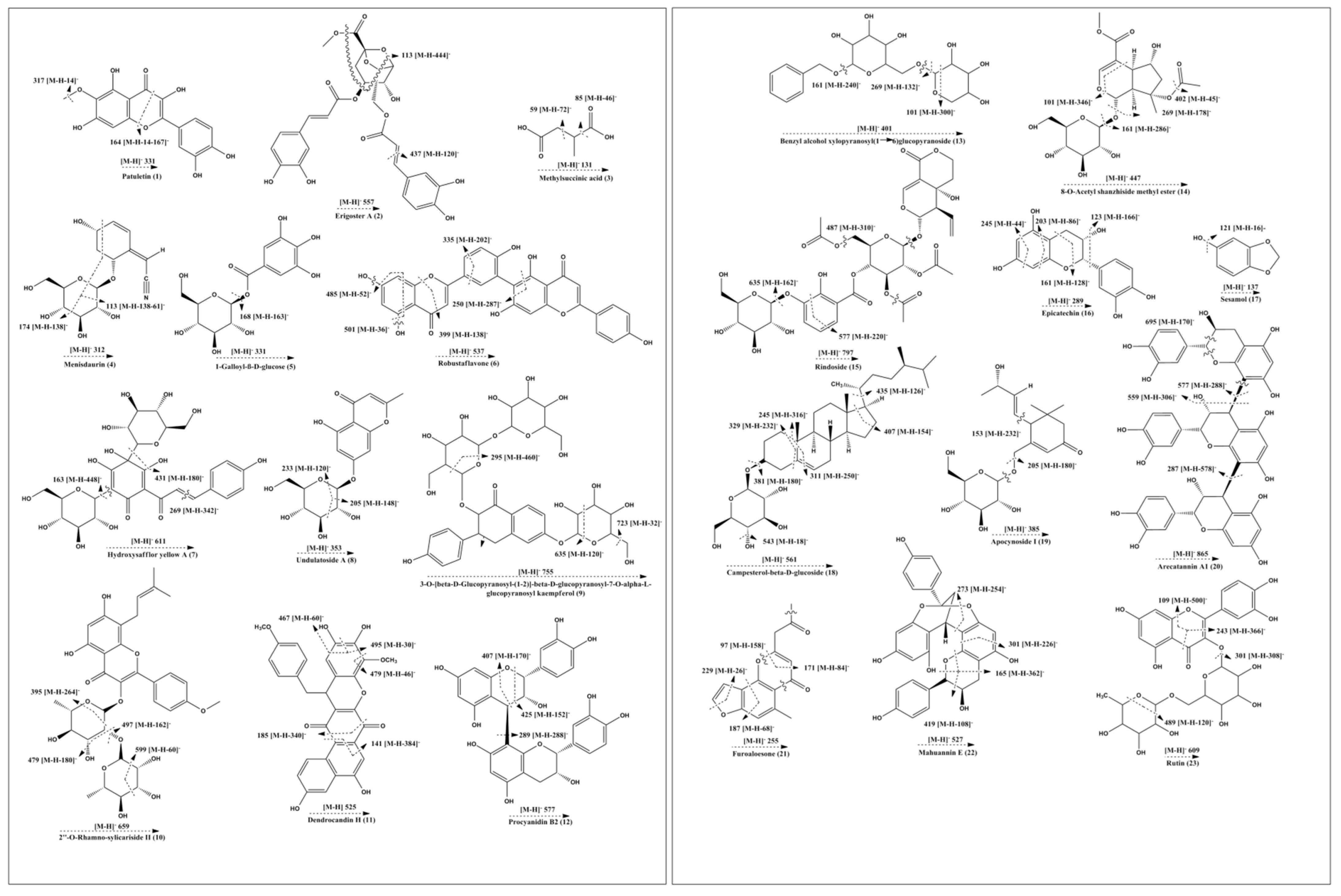 Plants 10 01334 g005