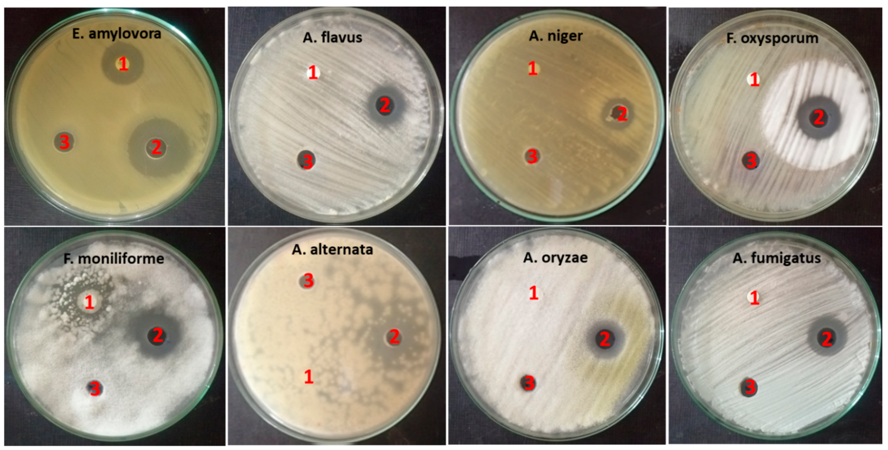 Plants 10 01760 g006