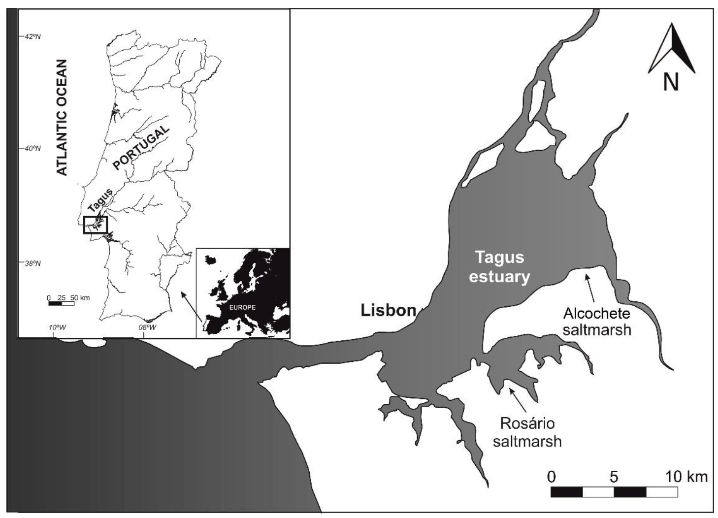 Plants 10 02072 g010