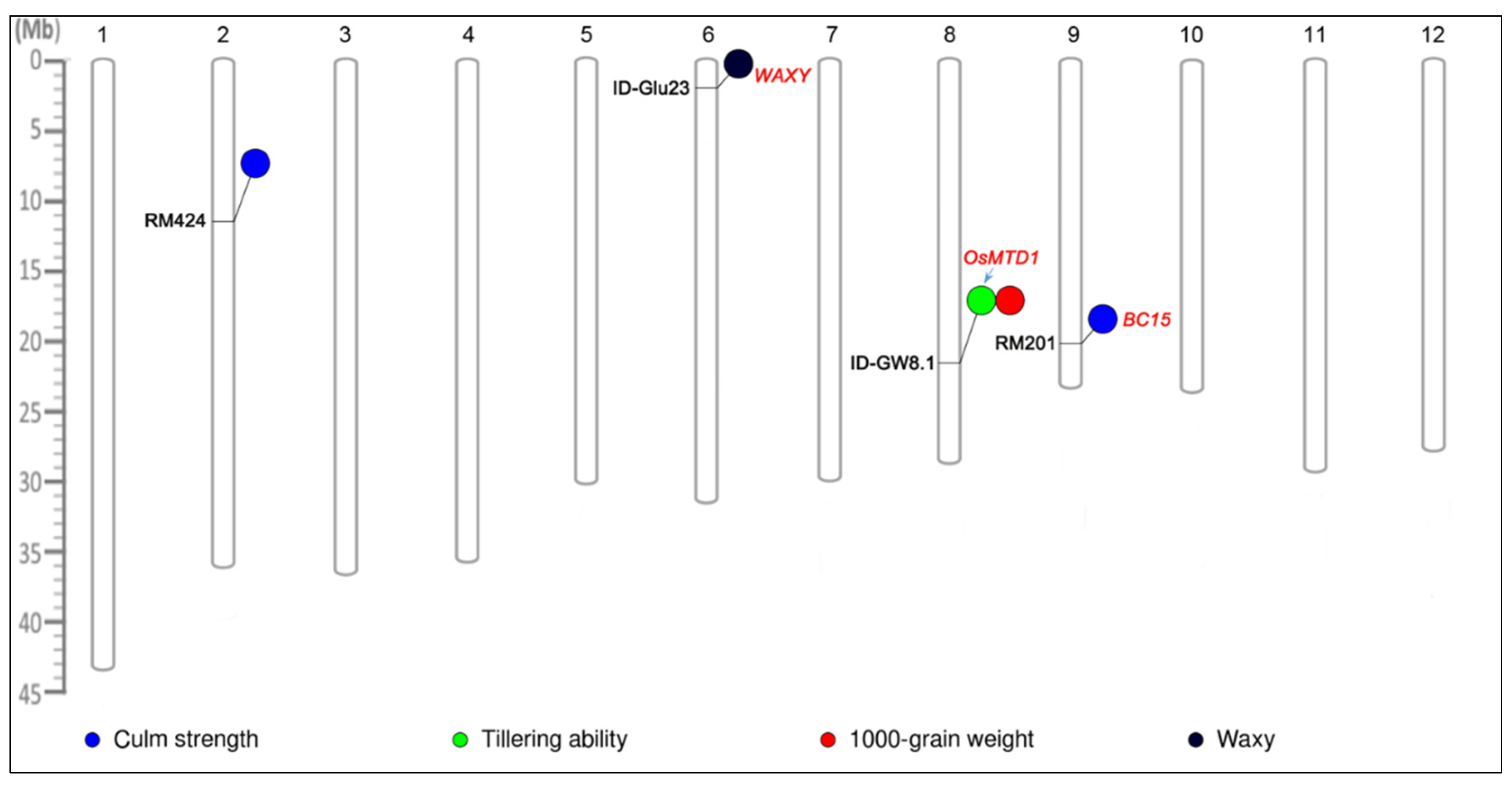 Plants 10 02094 g005